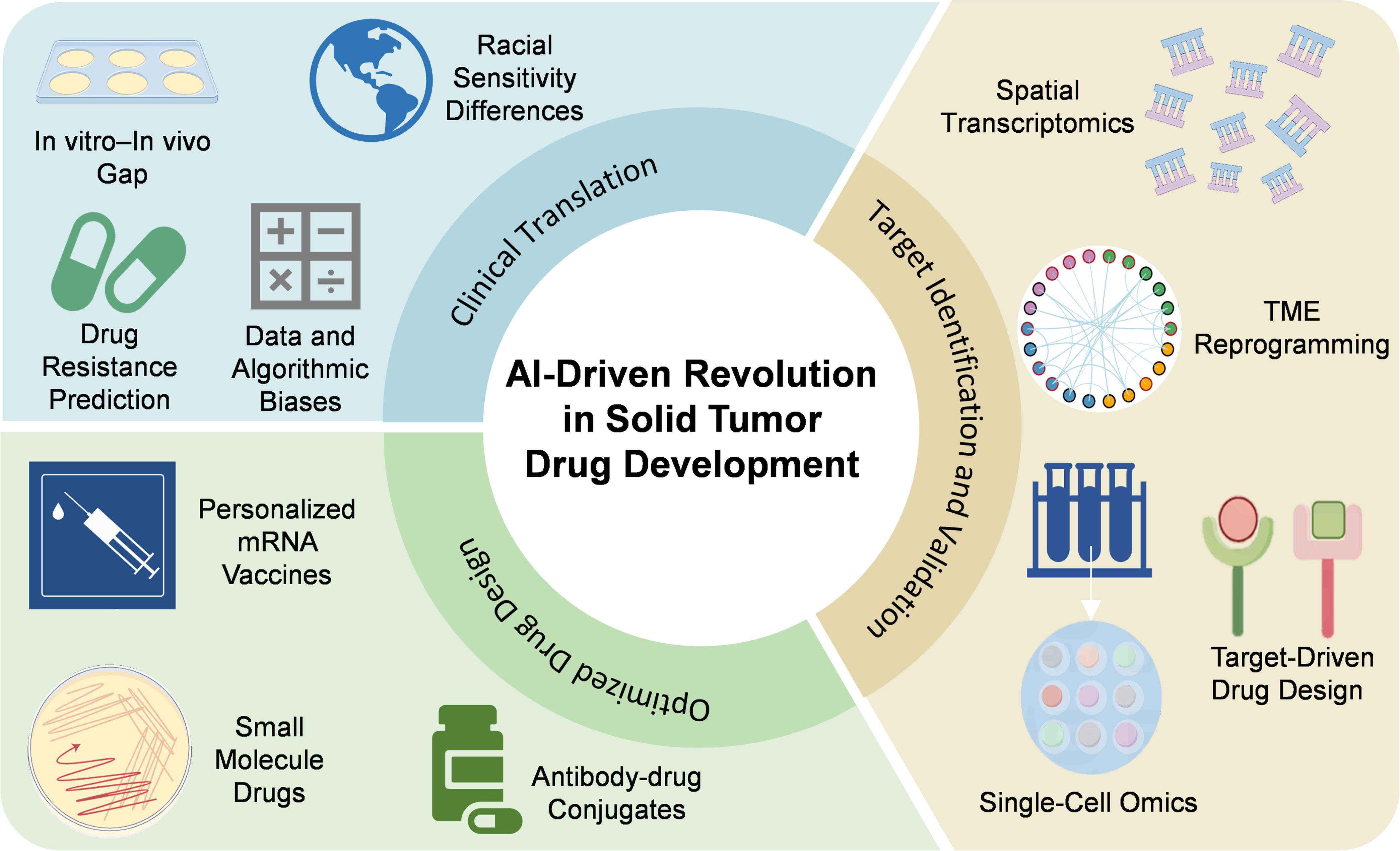 Integrated AI-driven framework for solid tumor drug development.