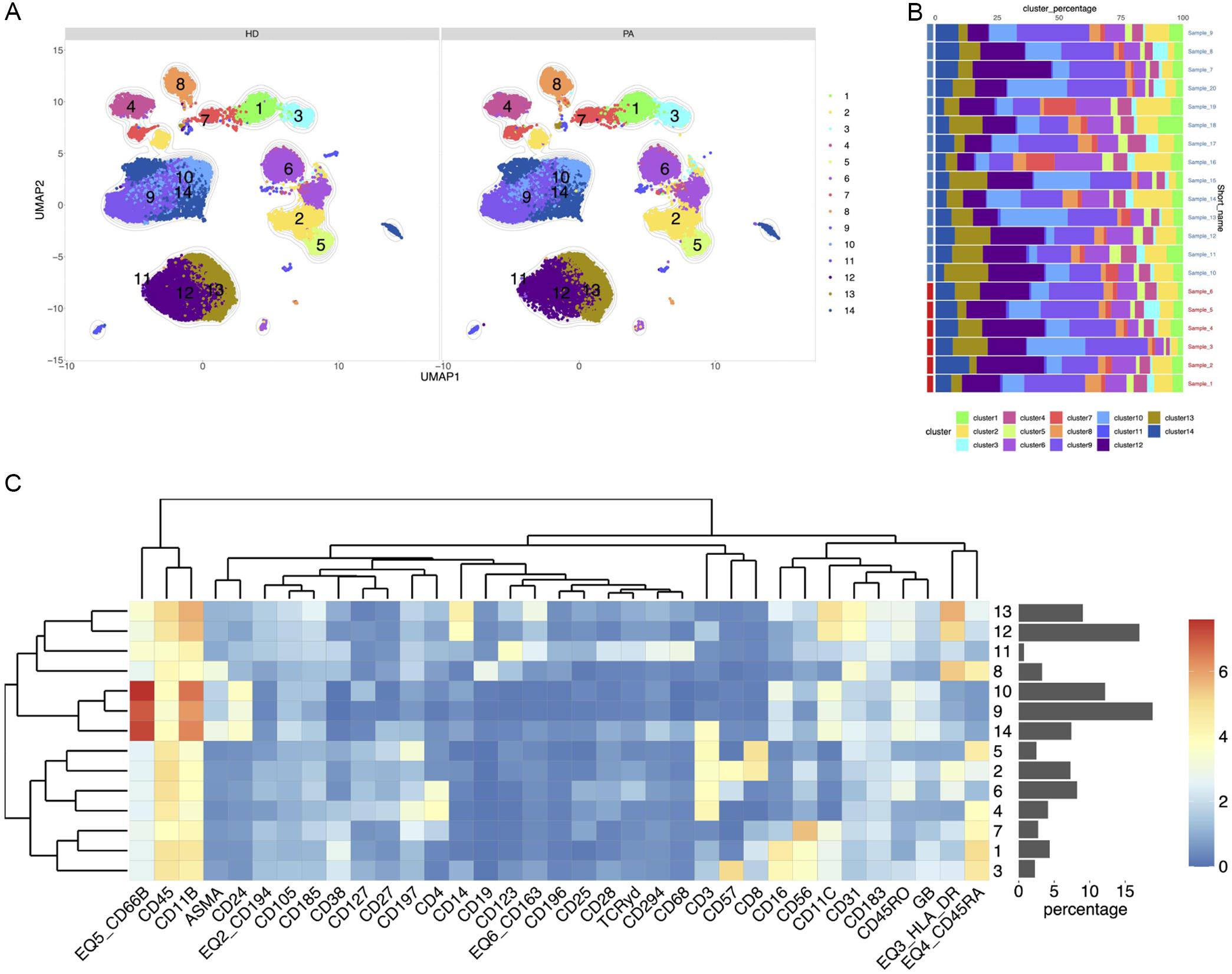 Identification and characterization of immune cell populations in placental tissues.