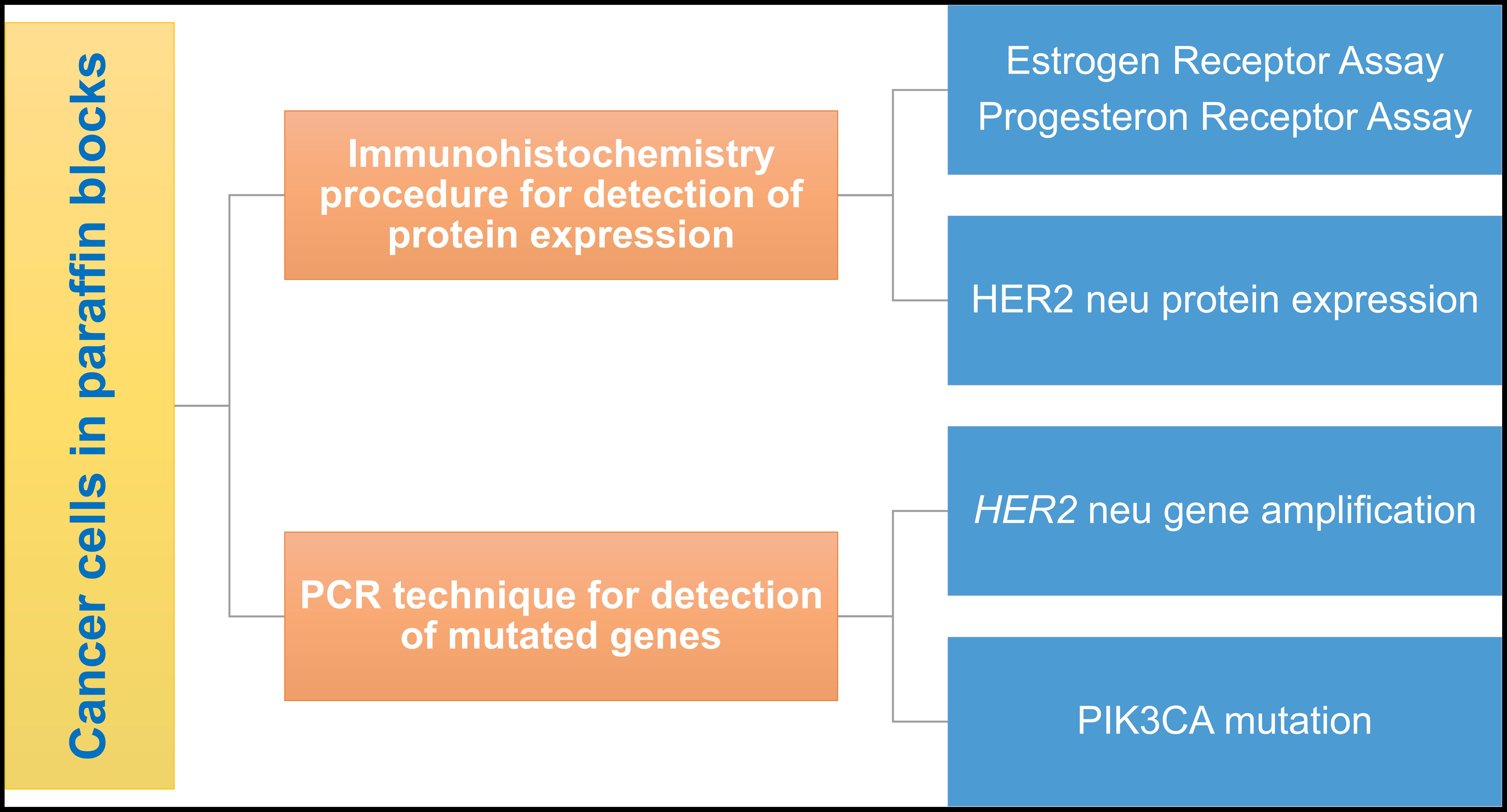 Detection techniques of molecular signature in cancer cells.