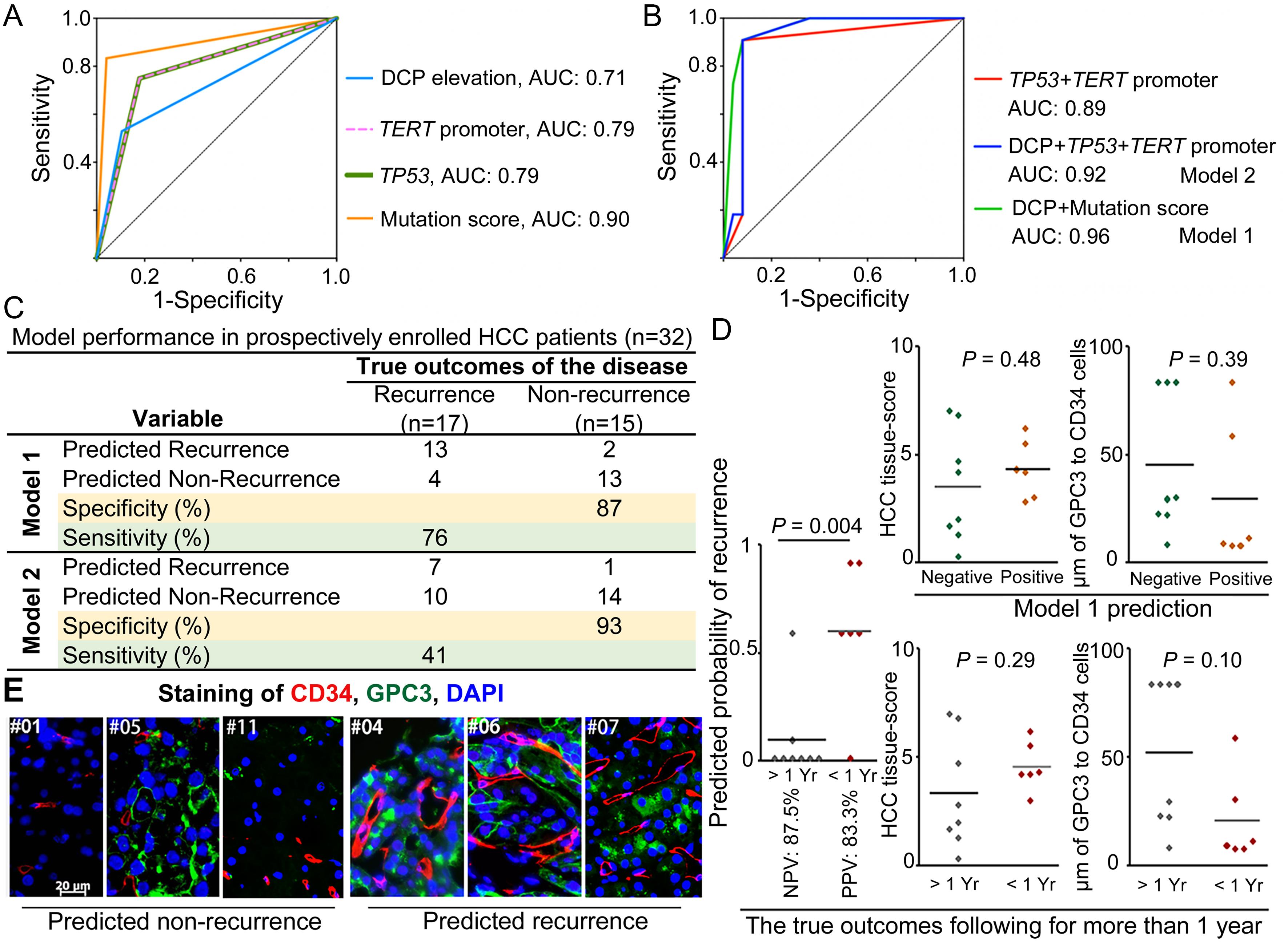 The pre-RFA HCC blood signature for prediction of early HCC recurrence post-RFA and validation.