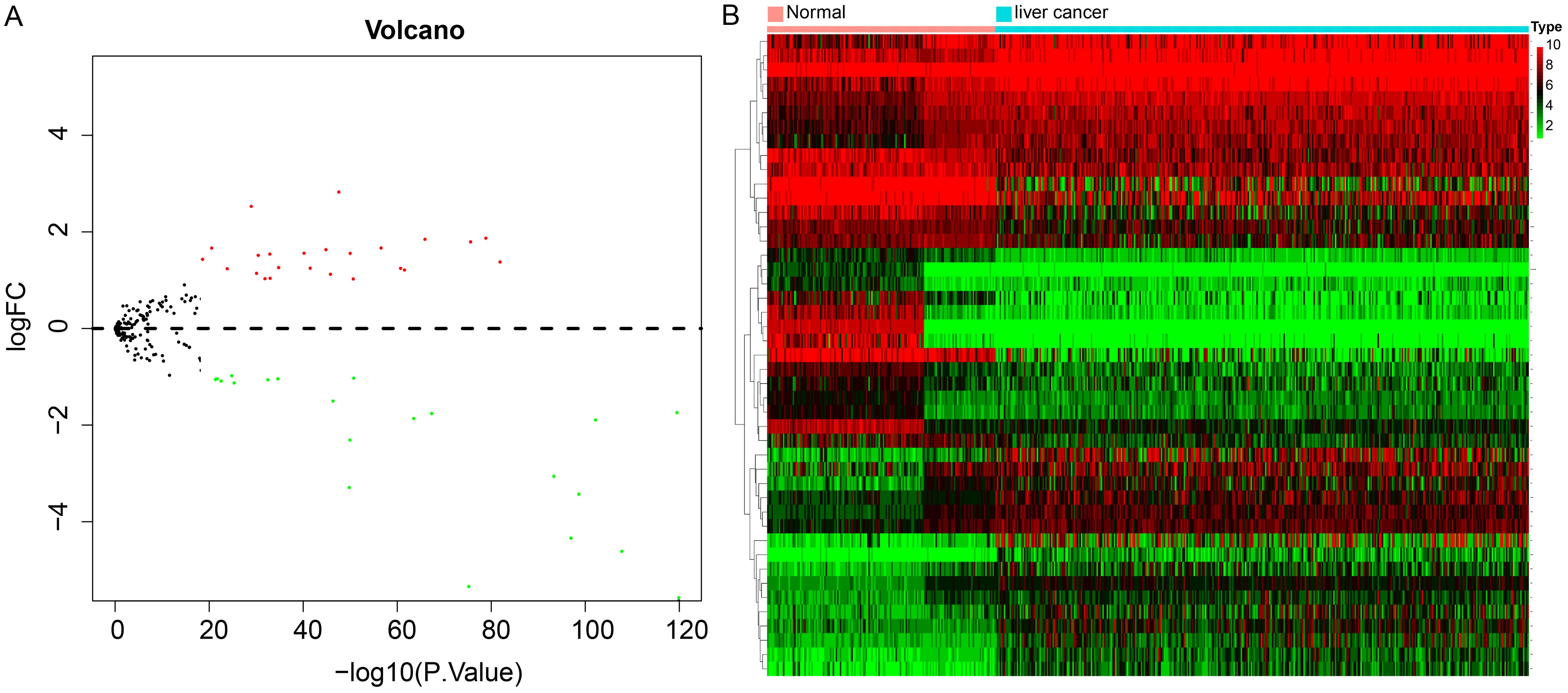 Differentially expressed ferrGenes in HCC.