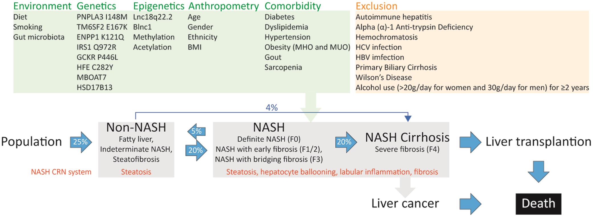 Heterogeneity of nonalcoholic fatty liver disease.