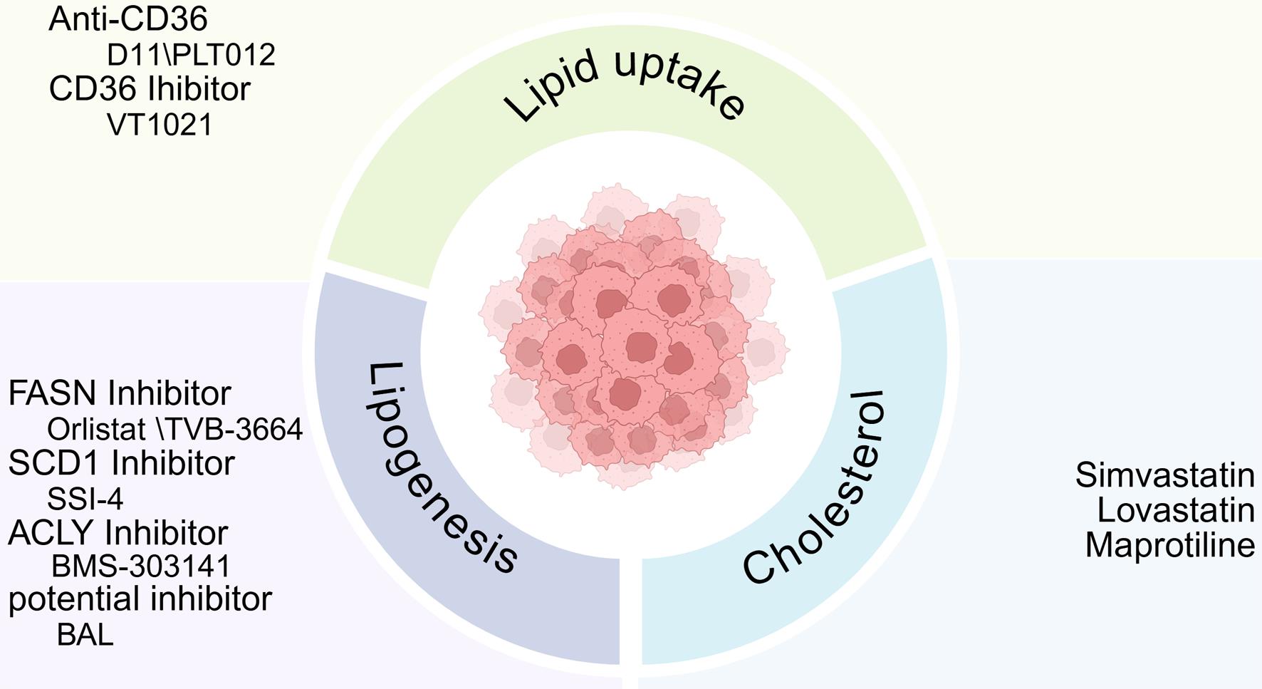 Therapeutic targets for lipid metabolism.