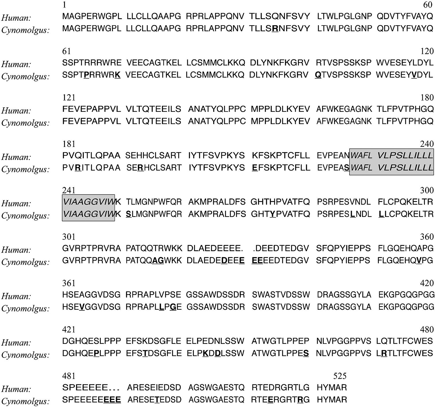 Amino acid sequence alignment of human and cynomolgus monkey interleukin-28 receptor α