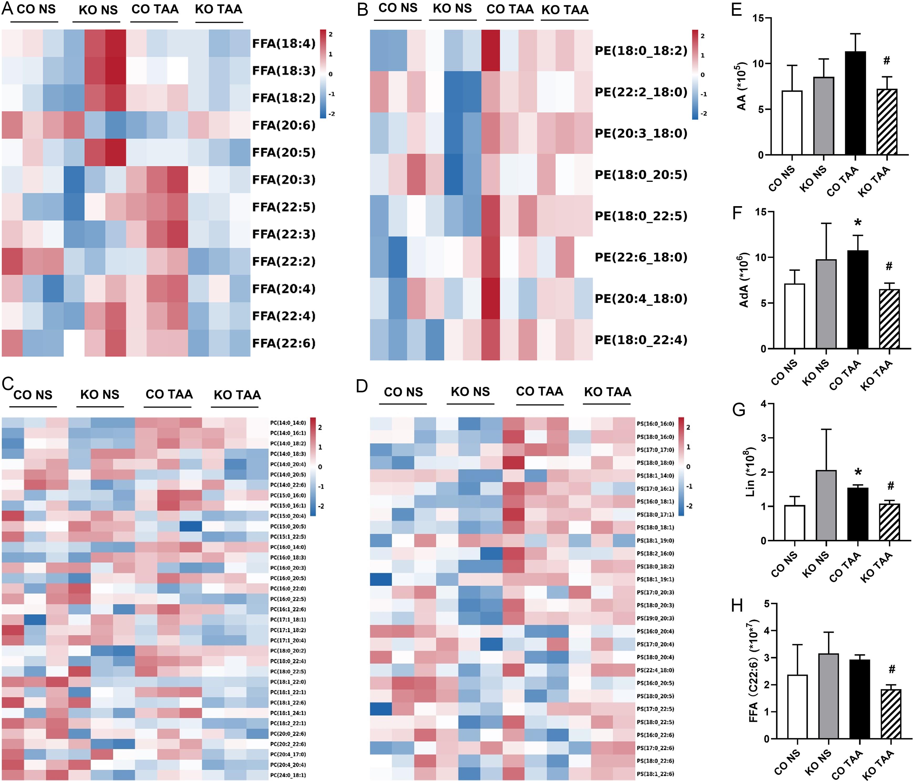 Lipid metabolomics of mouse livers.
