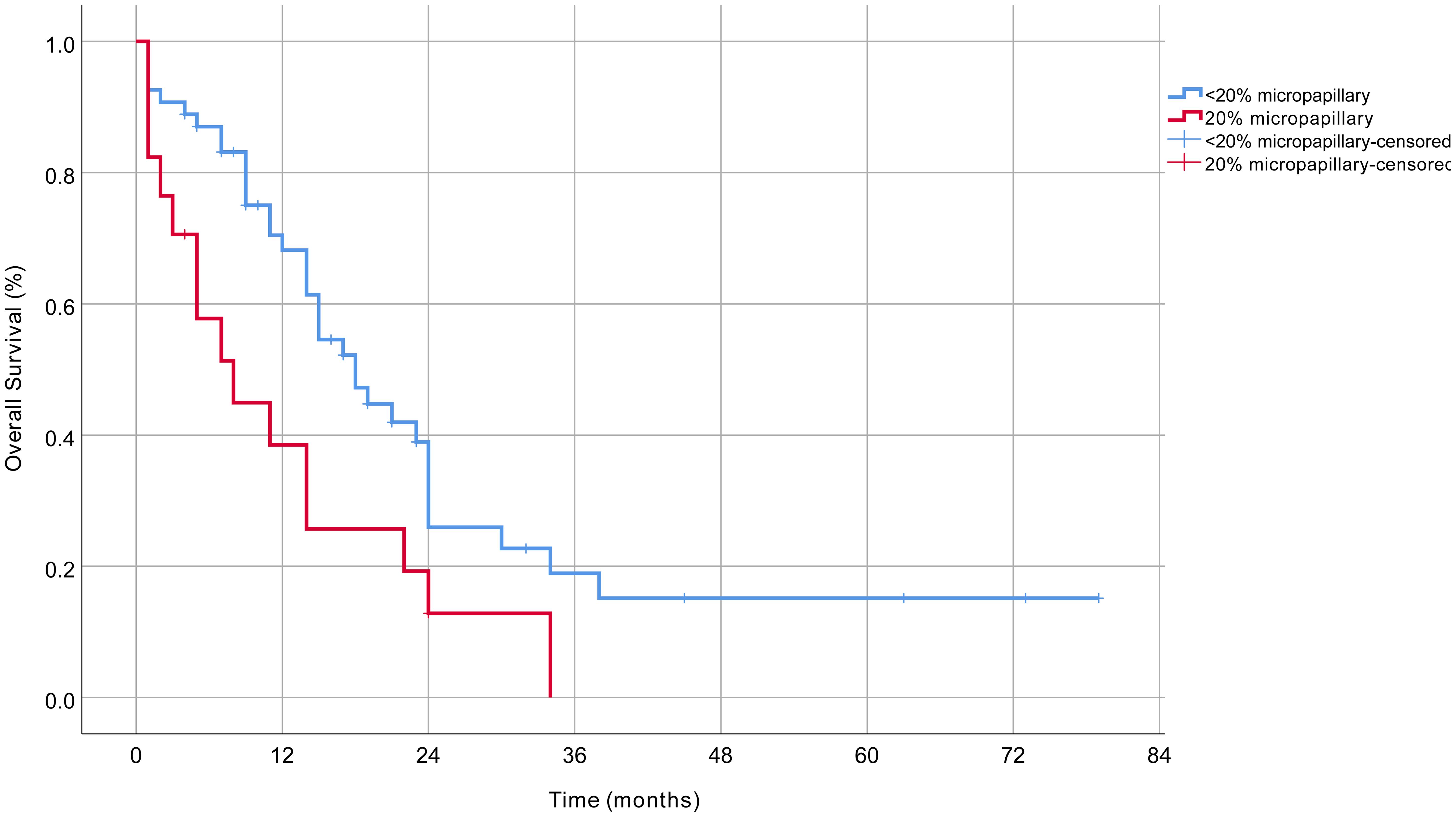 Kaplan-Meier analysis of overall survival comparing the micropapillary and non-micropapillary groups.