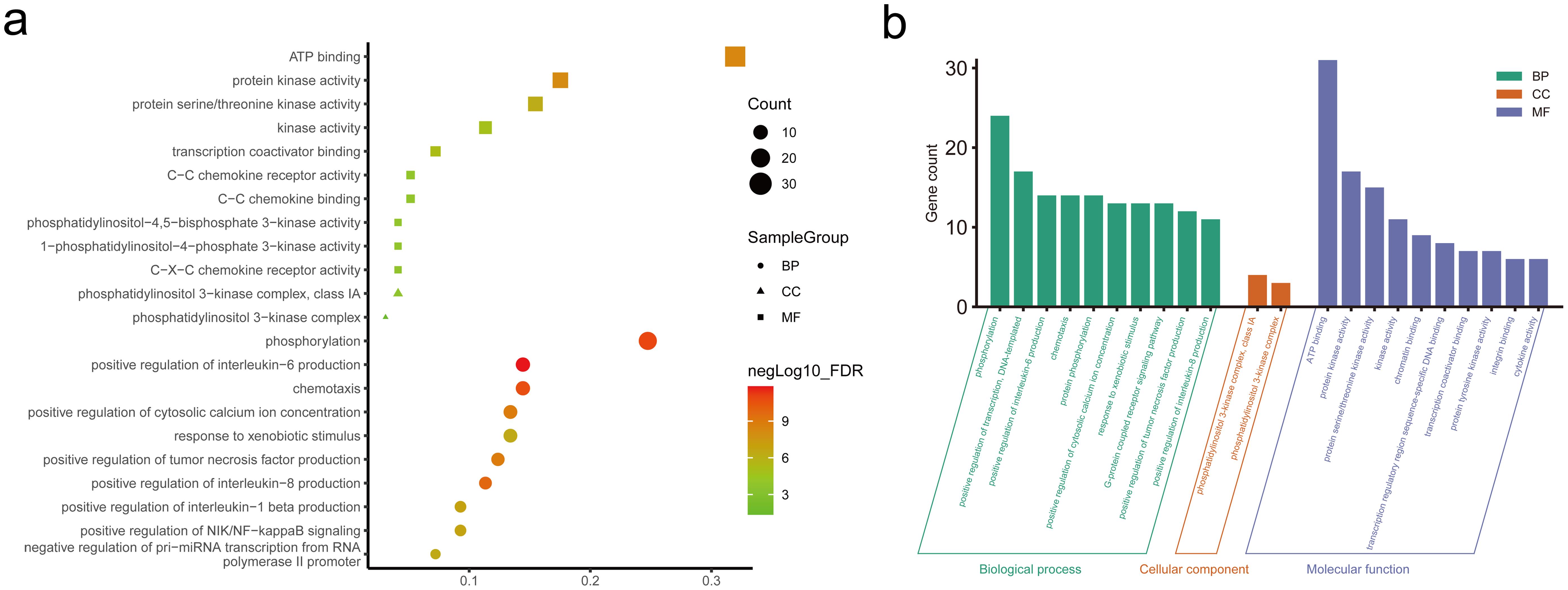 Go functional enrichment analysis of potential therapeutic targets of SFJD in the treatment of influenza.