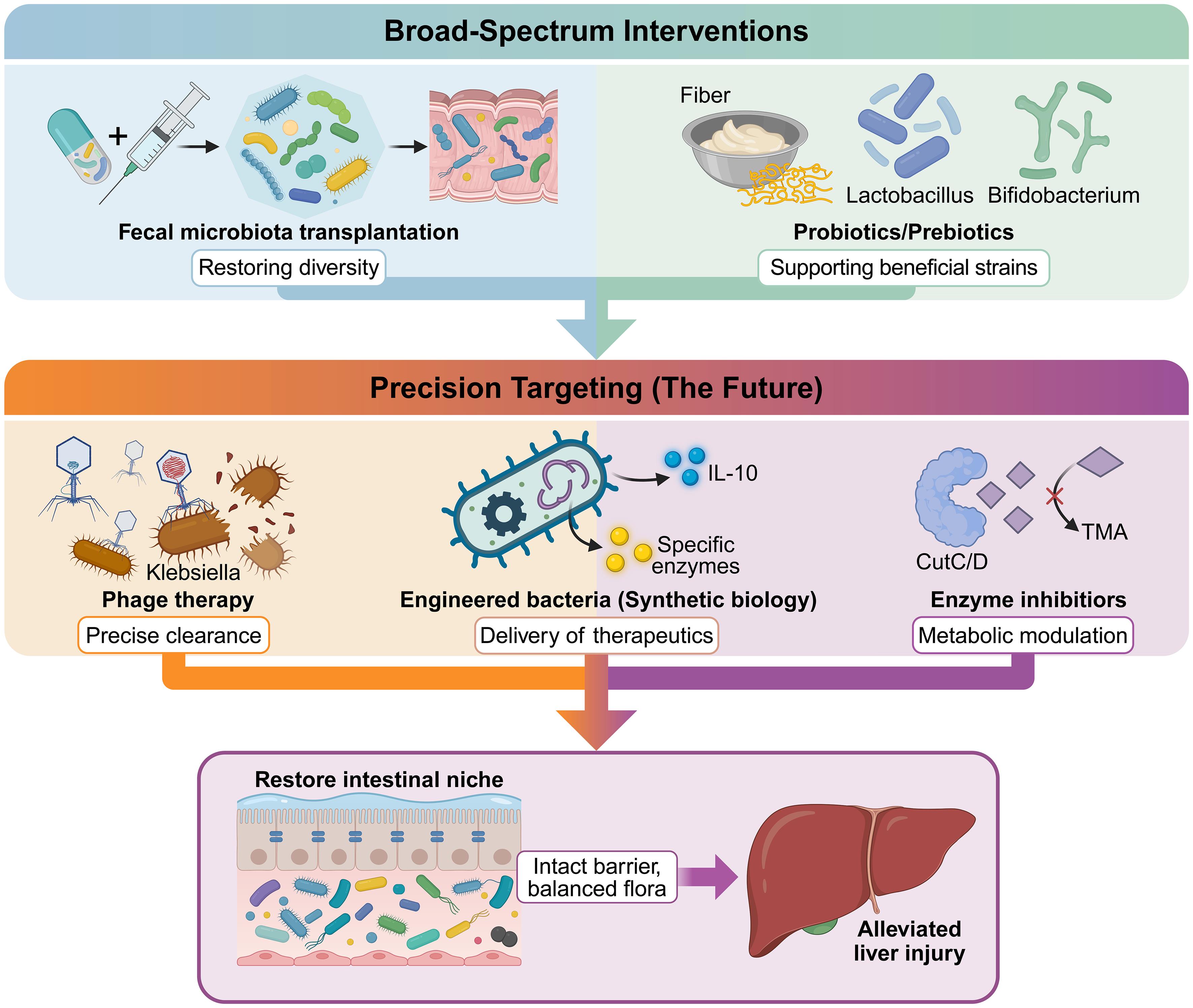 Strategies for ecological niche remodeling: From broad-spectrum to precision targeting.