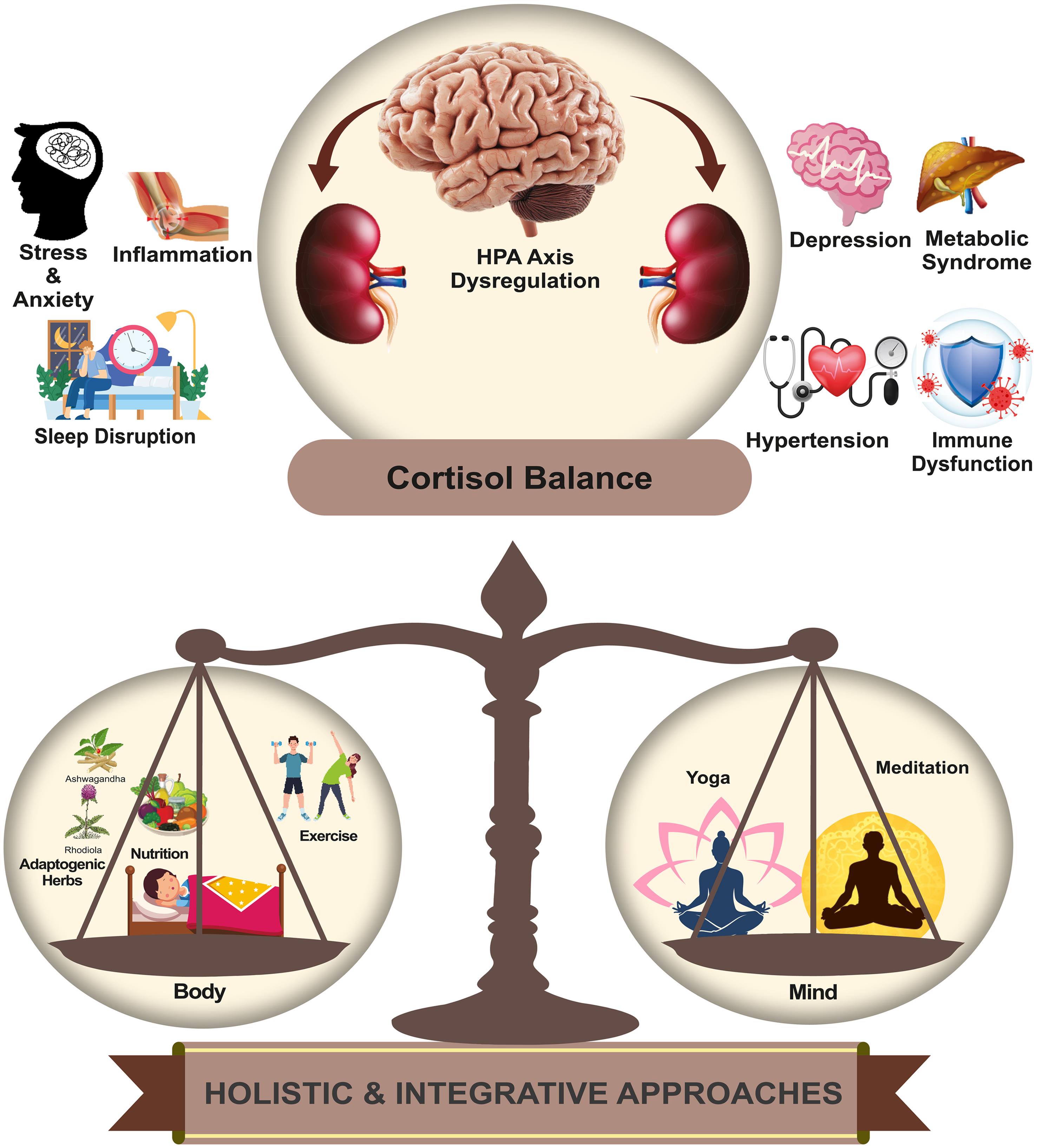 Integrated mind–body approaches for restoring cortisol balance.