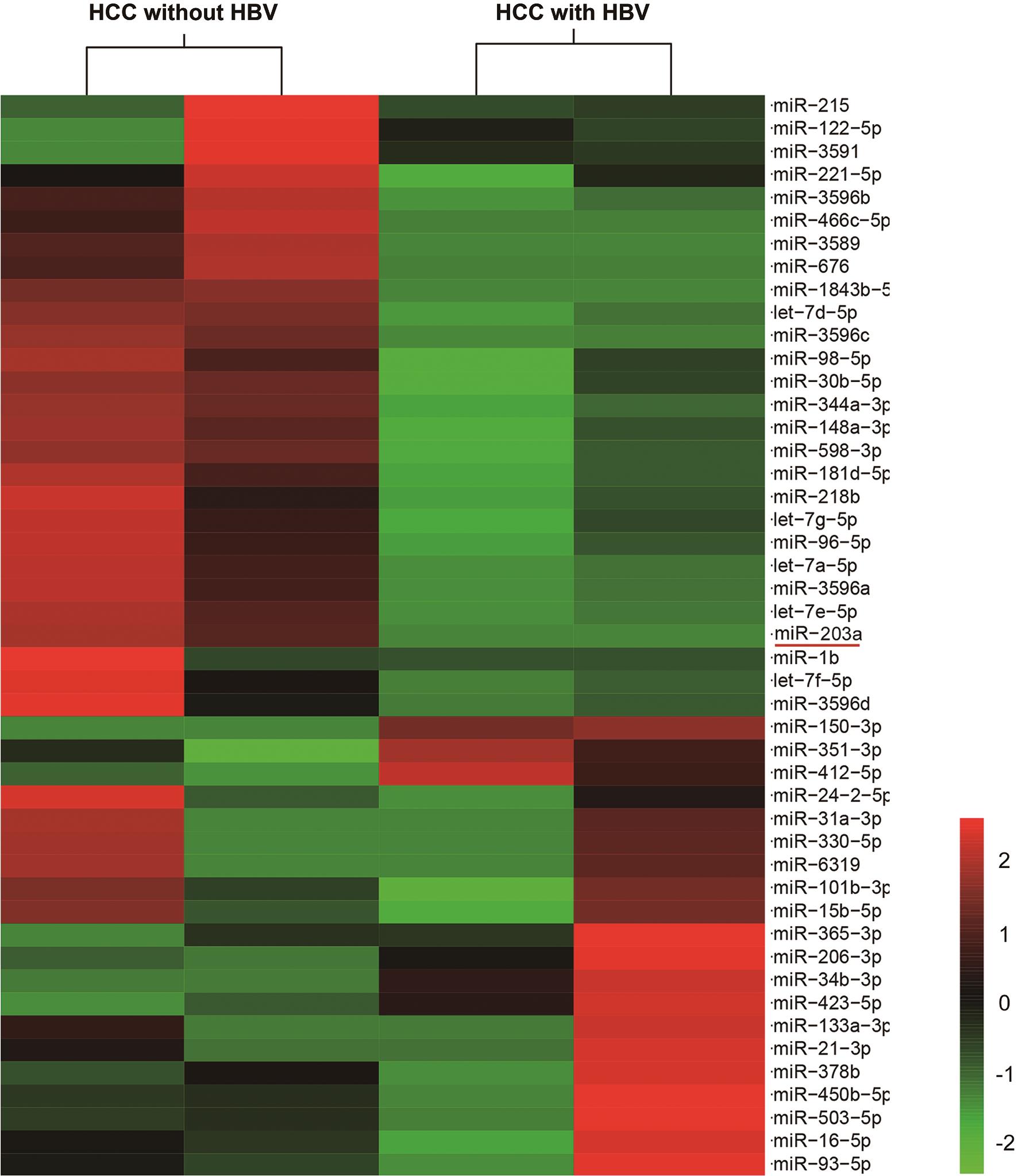 The most upregulated/down-regulated microRNAs in HBV-positive and HBV-negative liver cancer tissues identified by microRNA microarray.