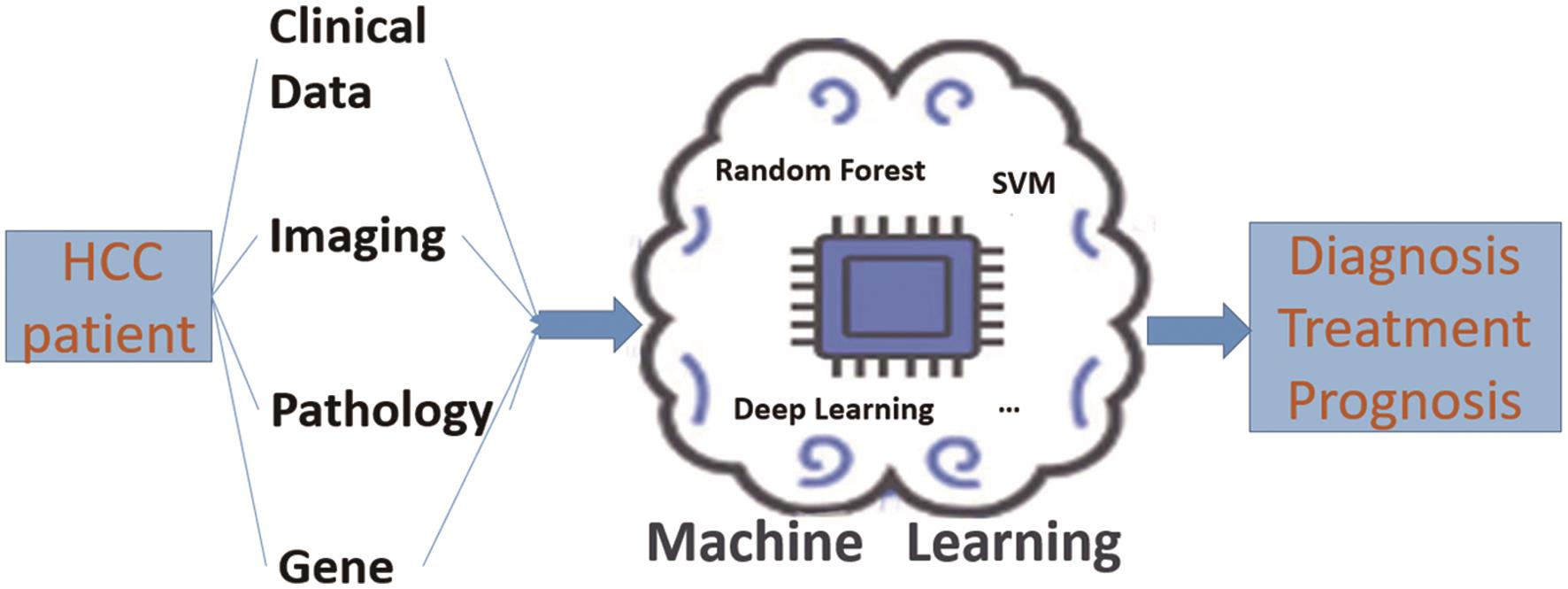 Current Status and Analysis of Machine Learning in Hepatocellular Carcinoma