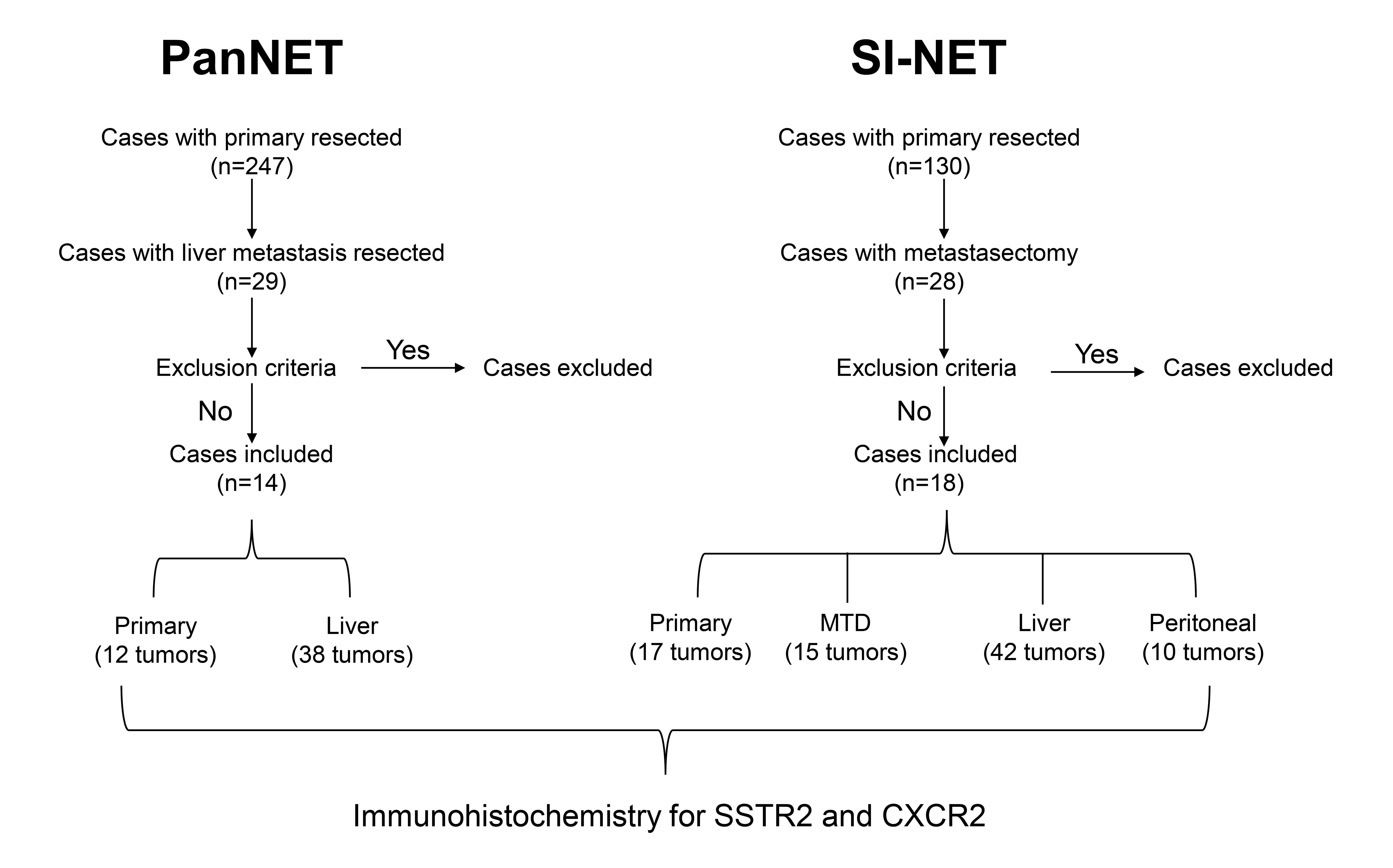 Study cohort selection and analysis flowchart.