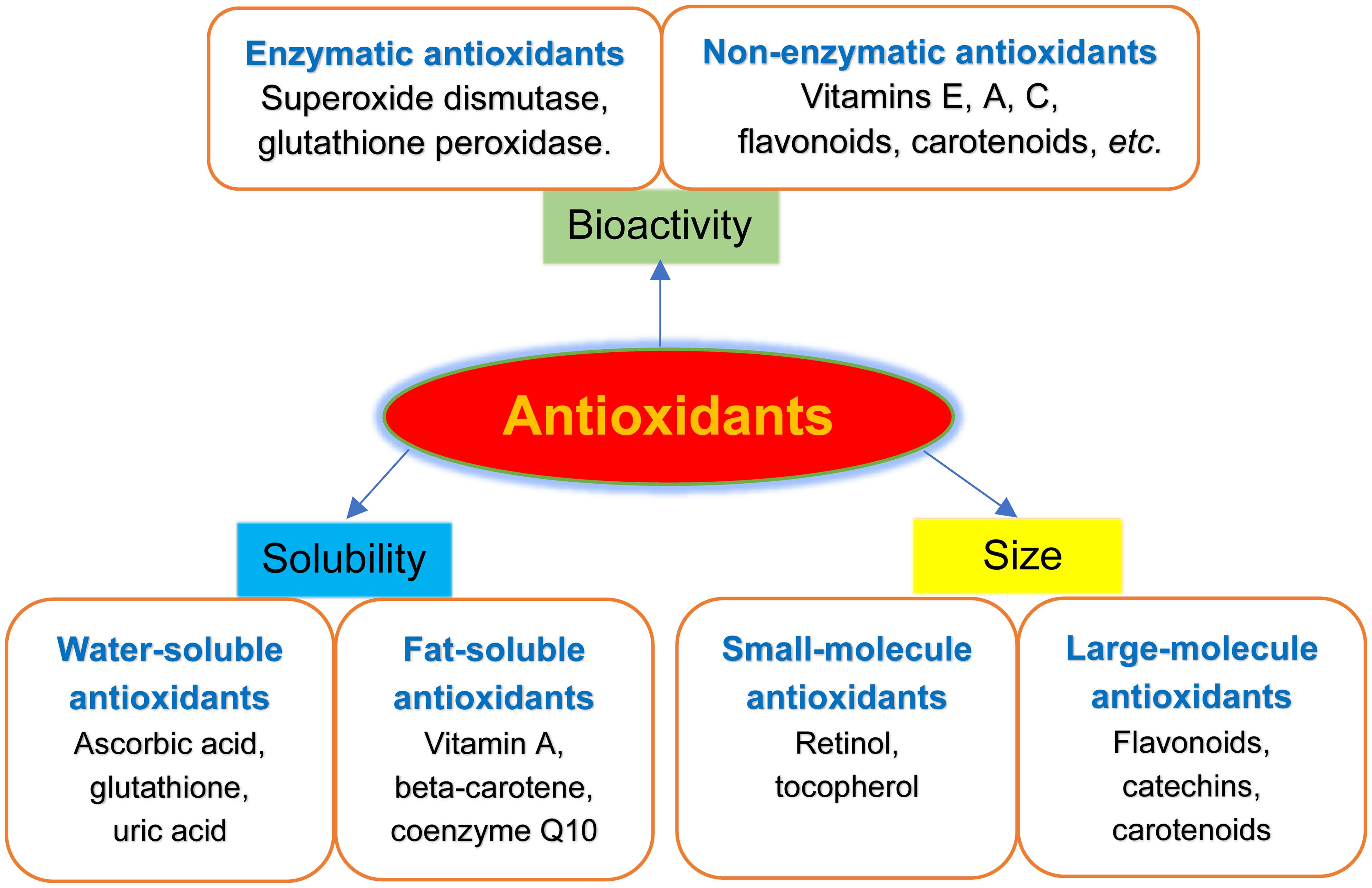 Antioxidant enzymes in disease prevention