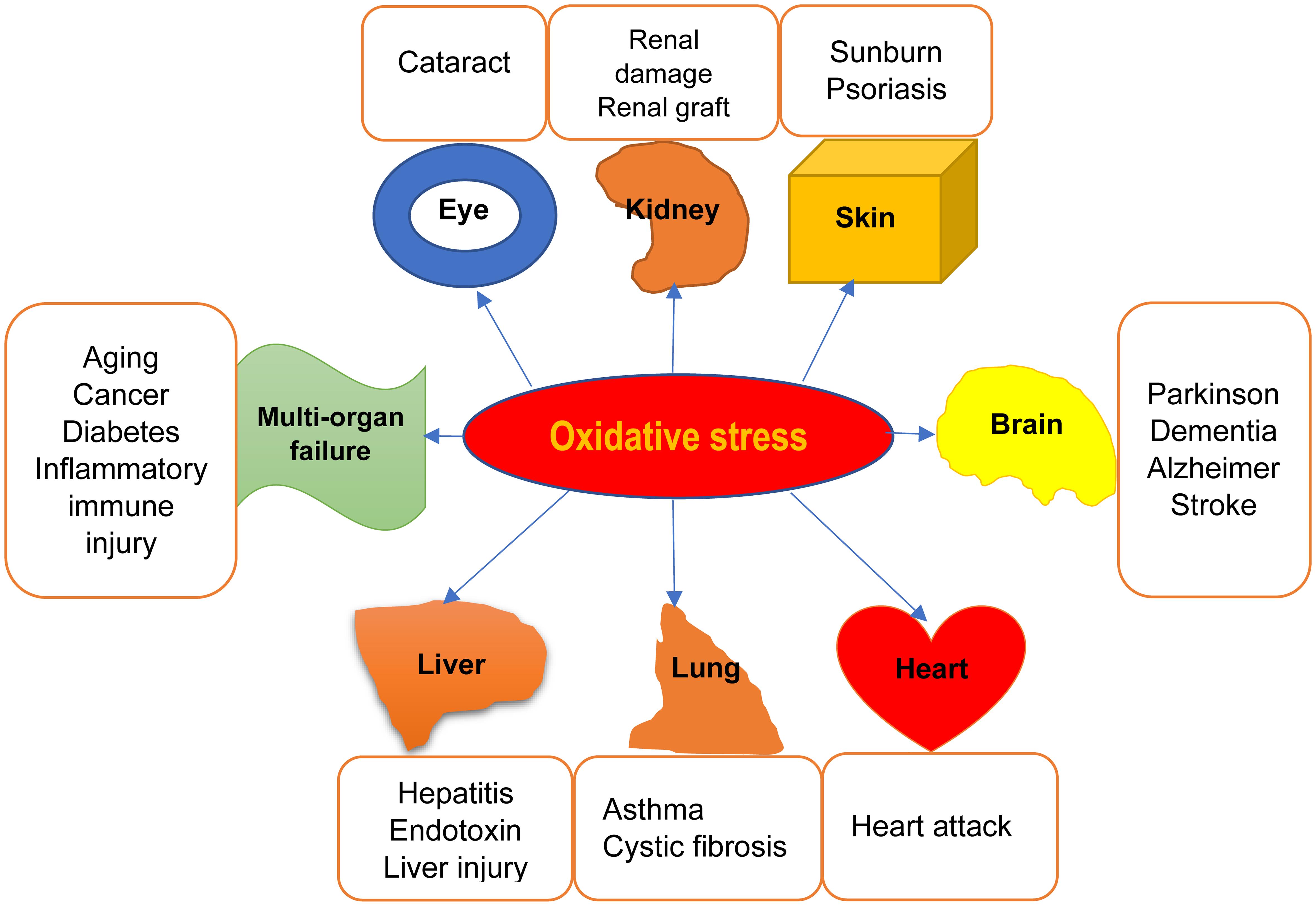 Antioxidant therapy in chronic diseases