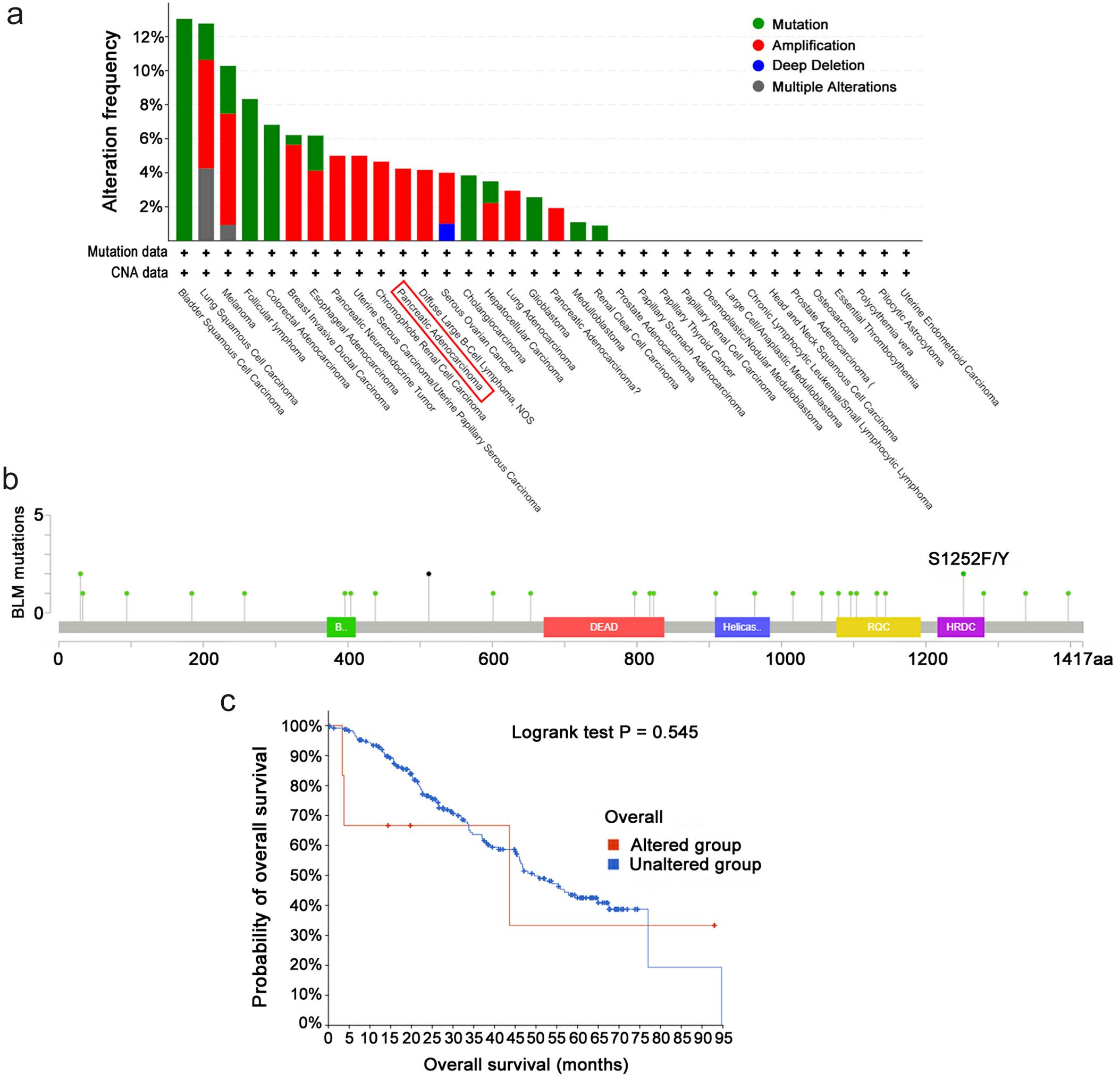 The BLM gene mutations and the prognosis analysis based on the cBioPortal web.