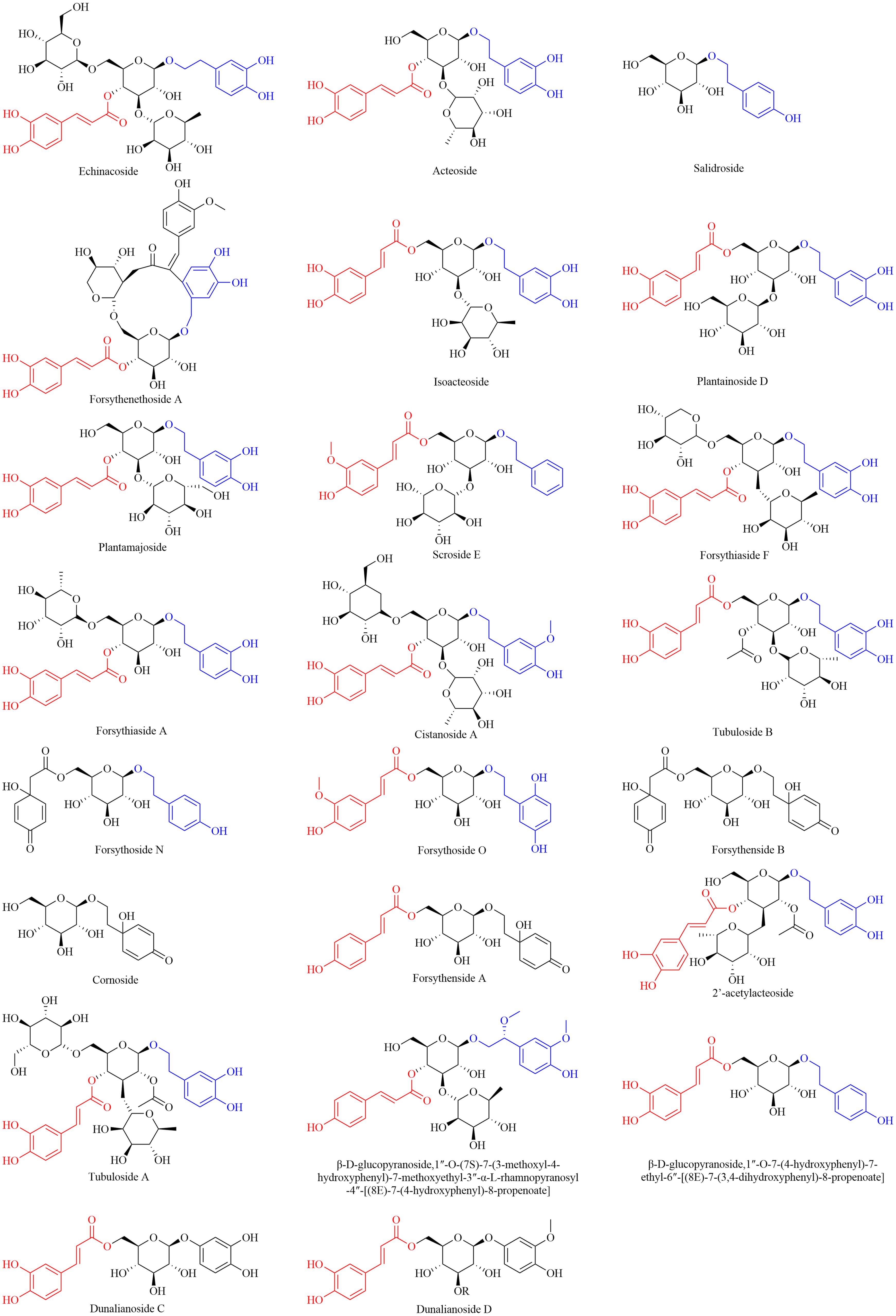 Representative chemical structures of phenylethanoid glycosides.