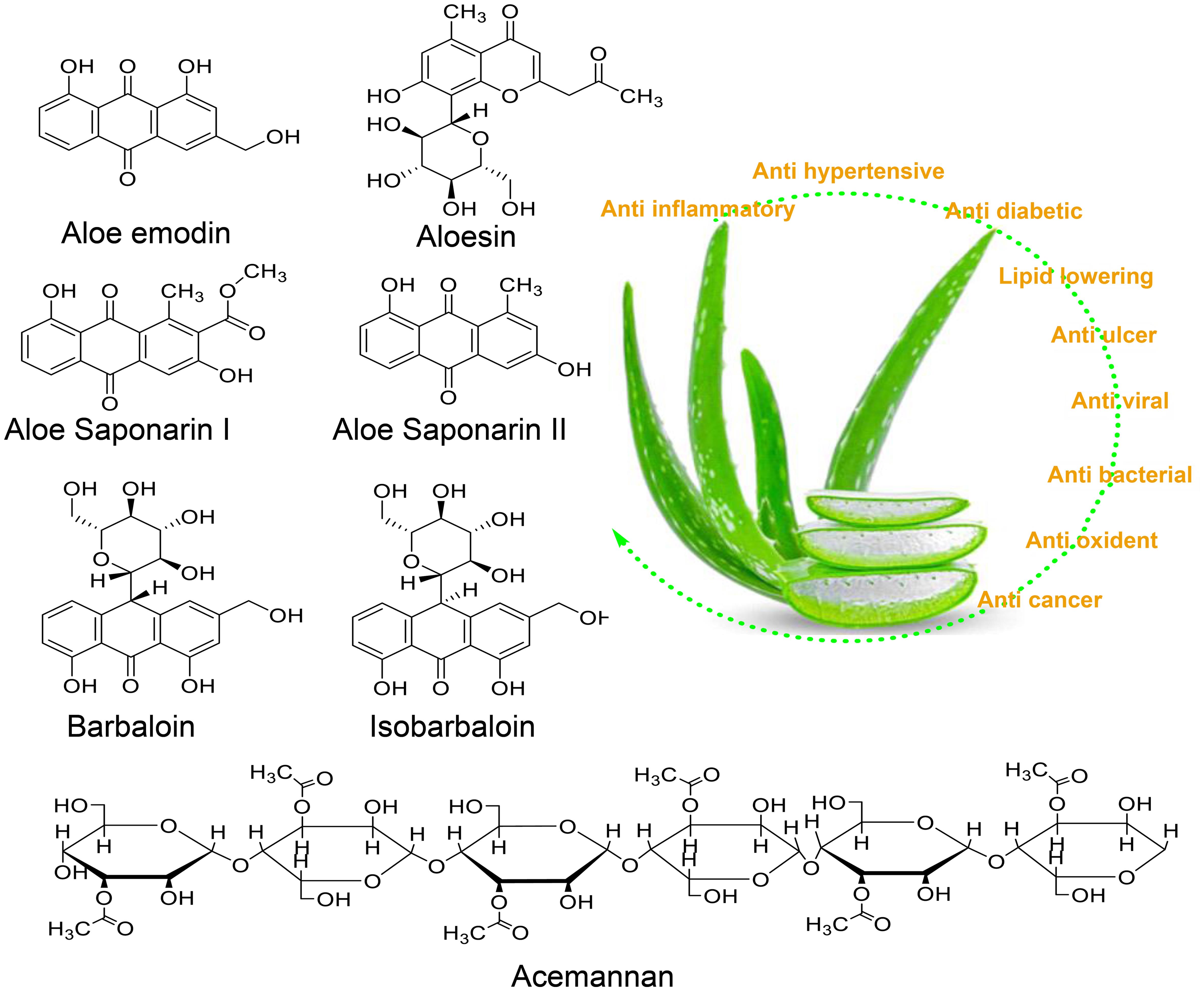 Aloe vera: potential benefits for lifestyle diseases.