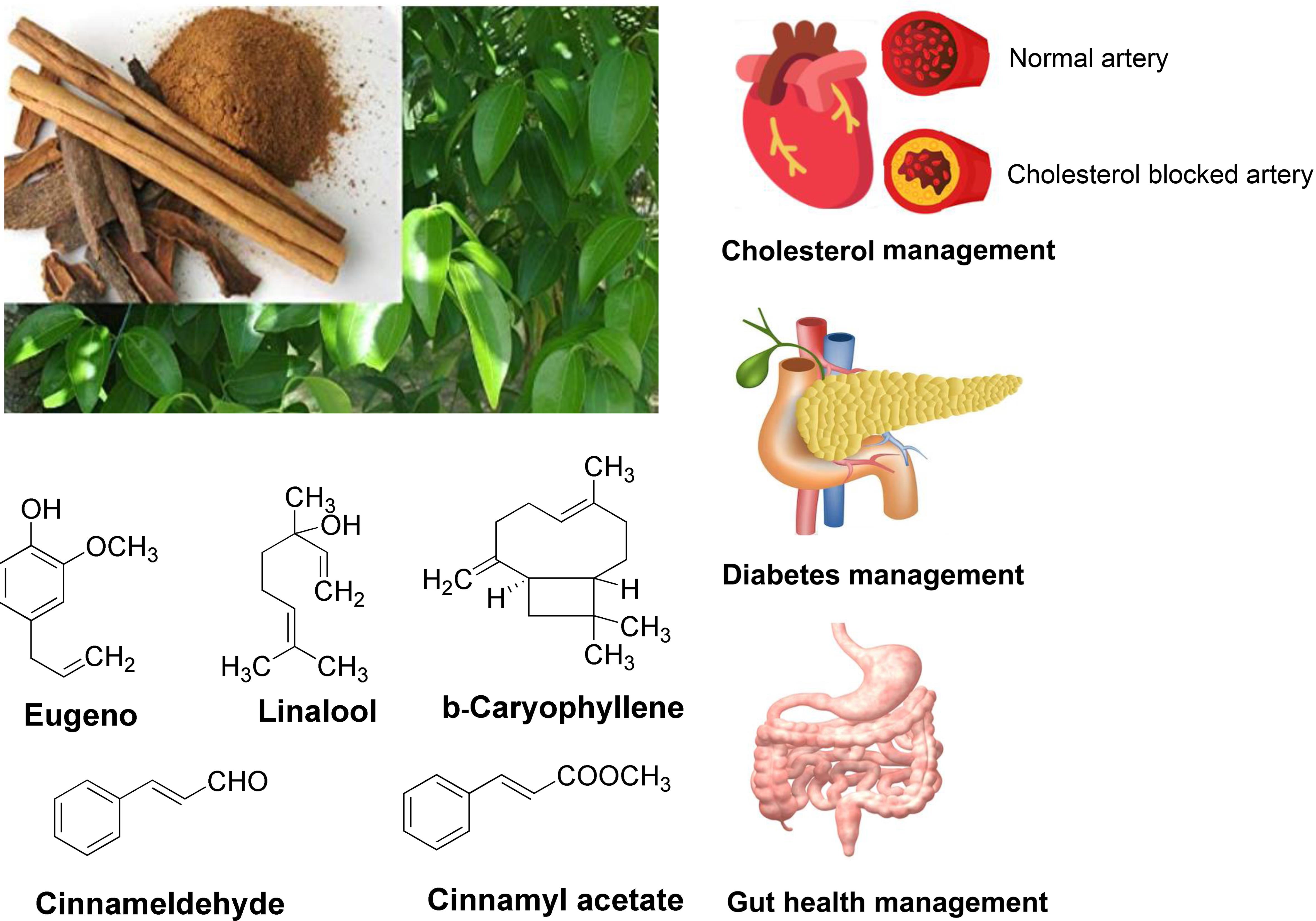 Cinnamon: sweet spice with potential health benefits.