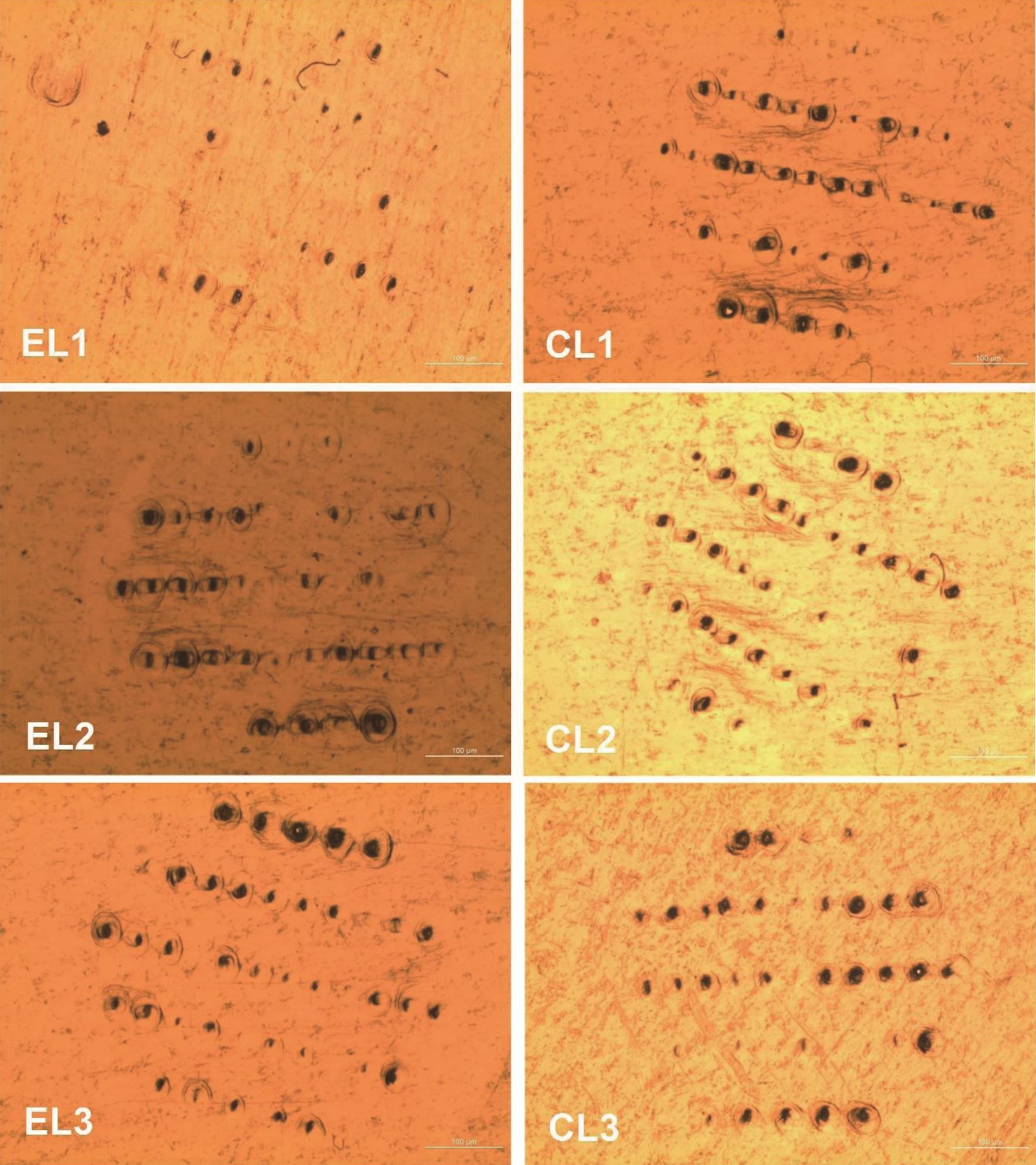 Stereo microscope images of the third layer of Parafilm under 42 N puncture force.