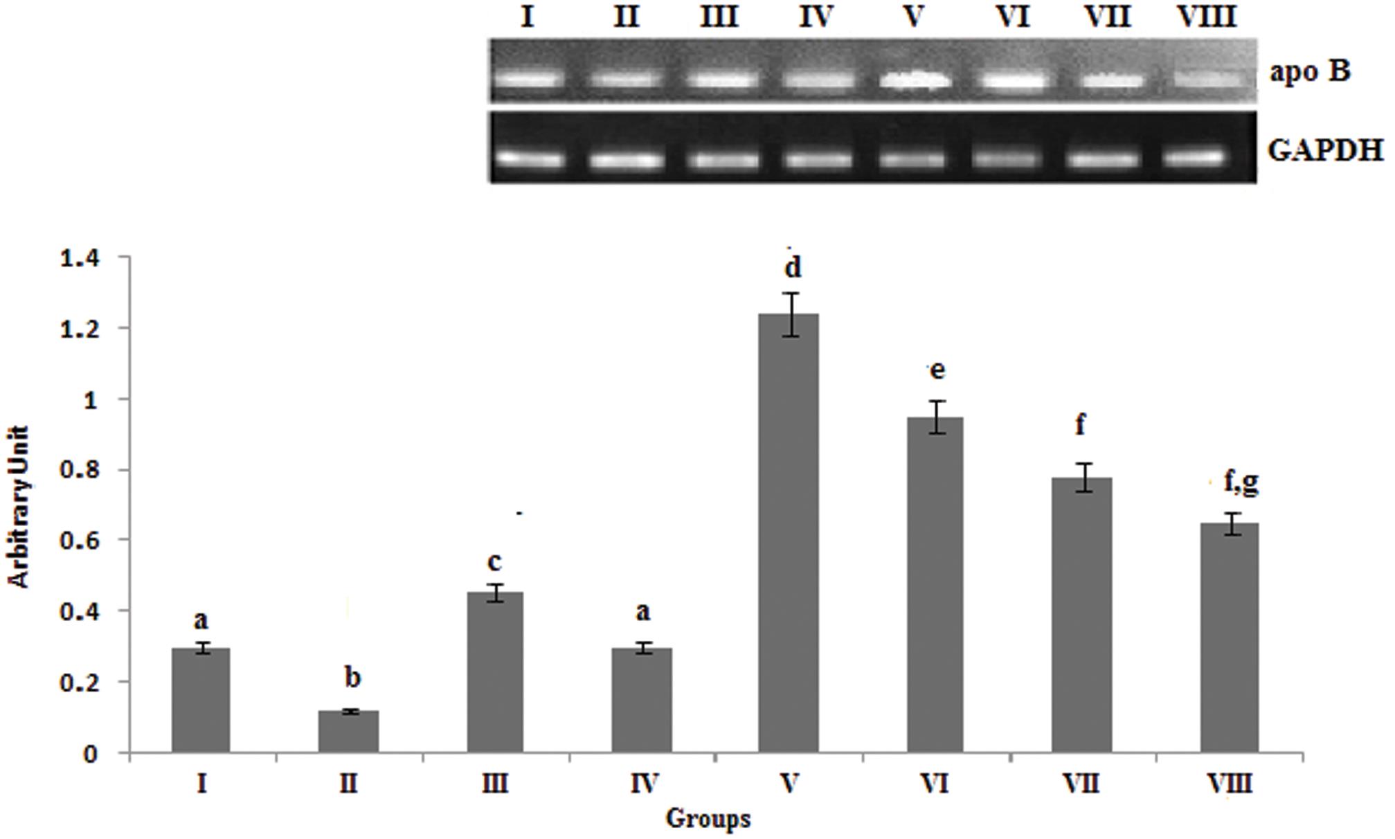 Effect of PPARα ligands on fatty acid-mediated mRNA expression of apolipoprotein B.