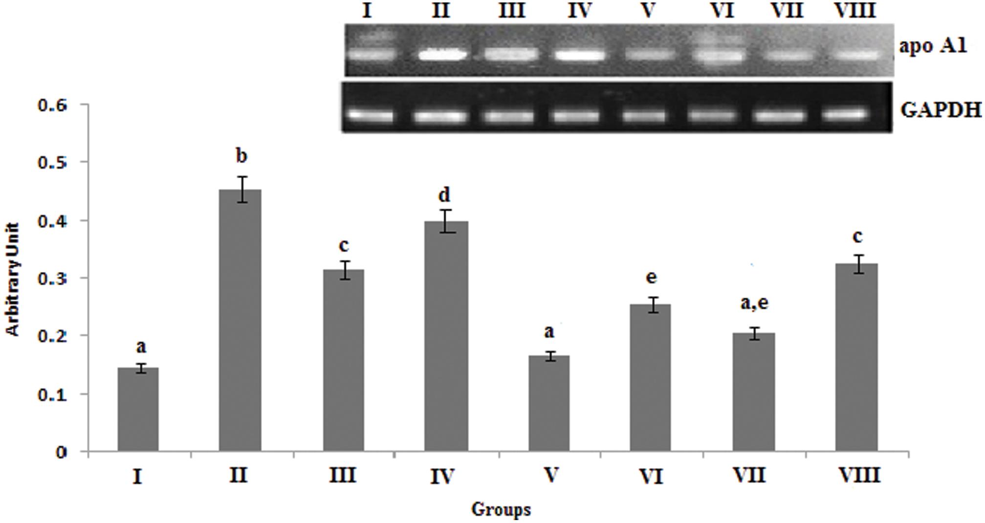 Effect of PPARα ligands on fatty acid-mediated mRNA expression of apolipoprotein A1.