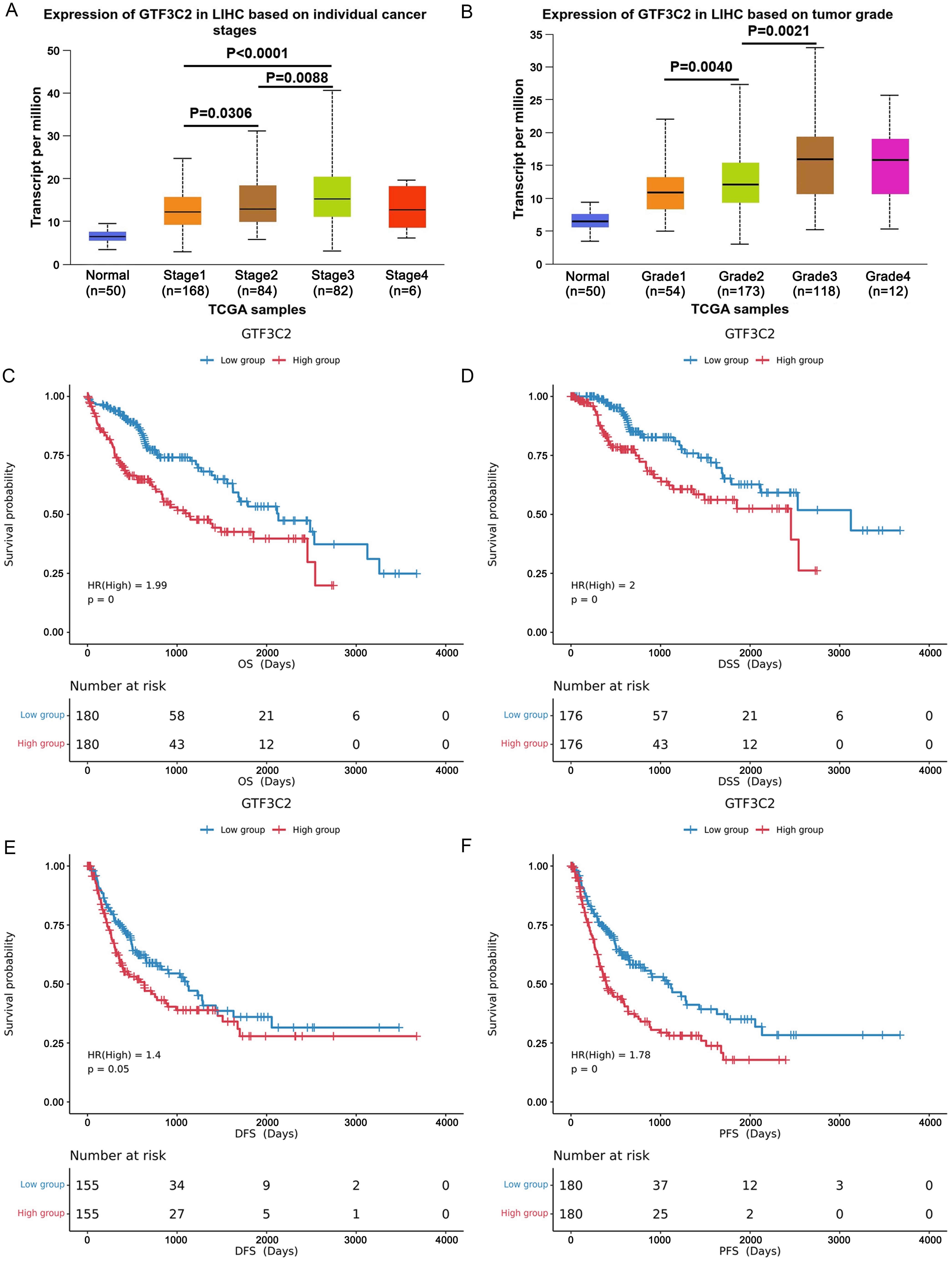 The clinical significance of GTF3C2 expression in HCC.