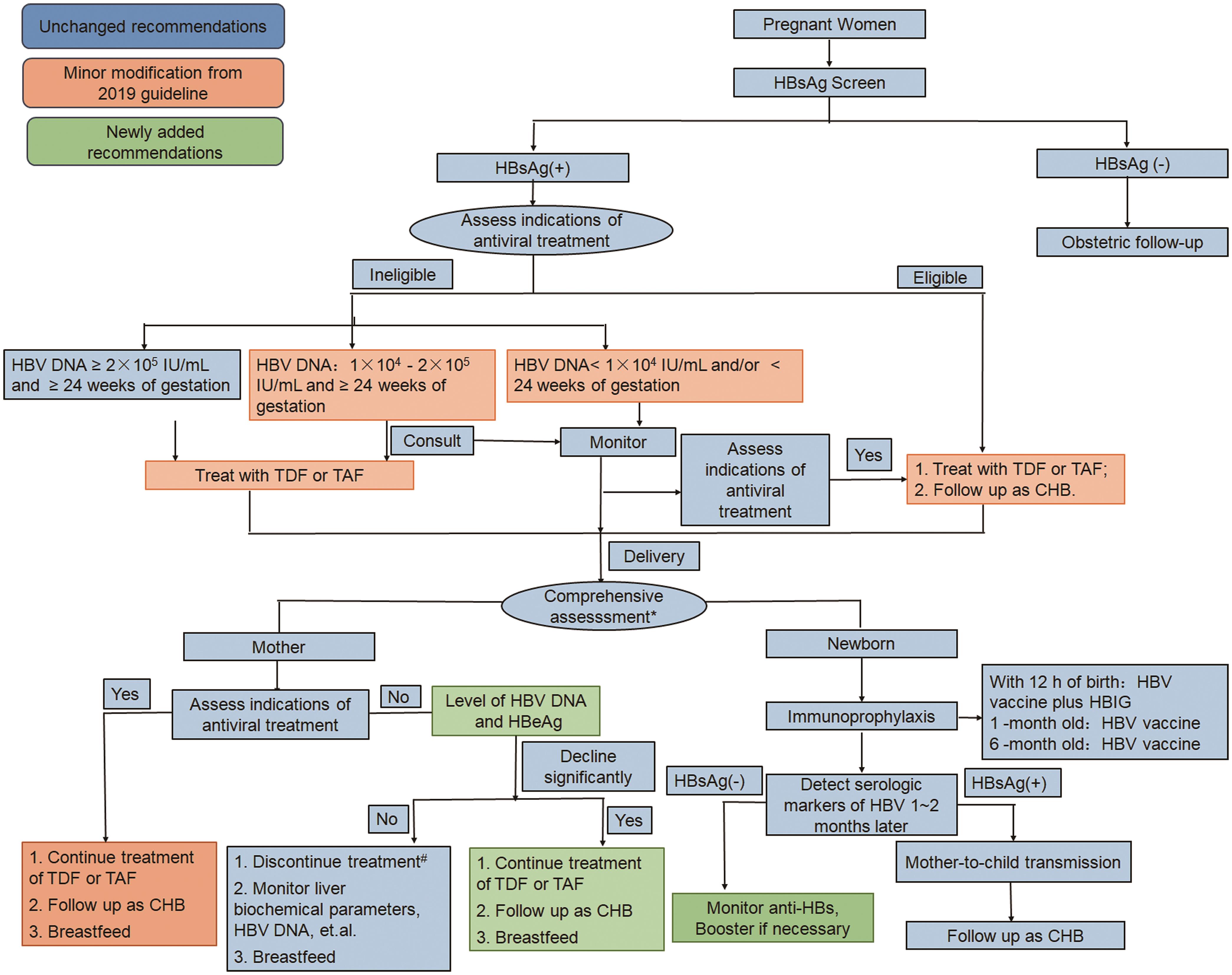 Management algorithm for the prevention and treatment of mother-to-child transmission of hepatitis B virus.