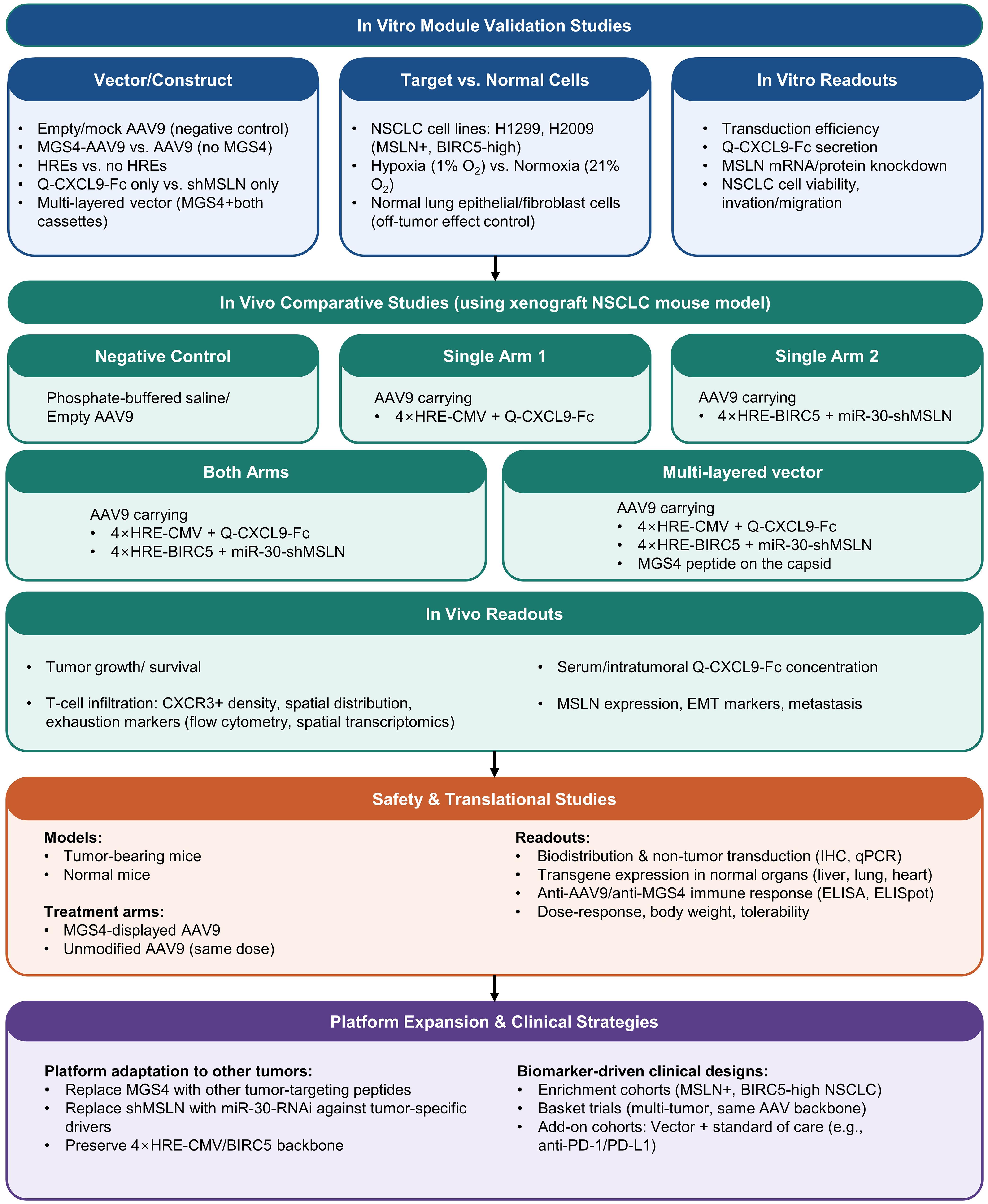 Conceptual study design for evaluating the multi-modal MGS4-AAV9 platform in NSCLC.
