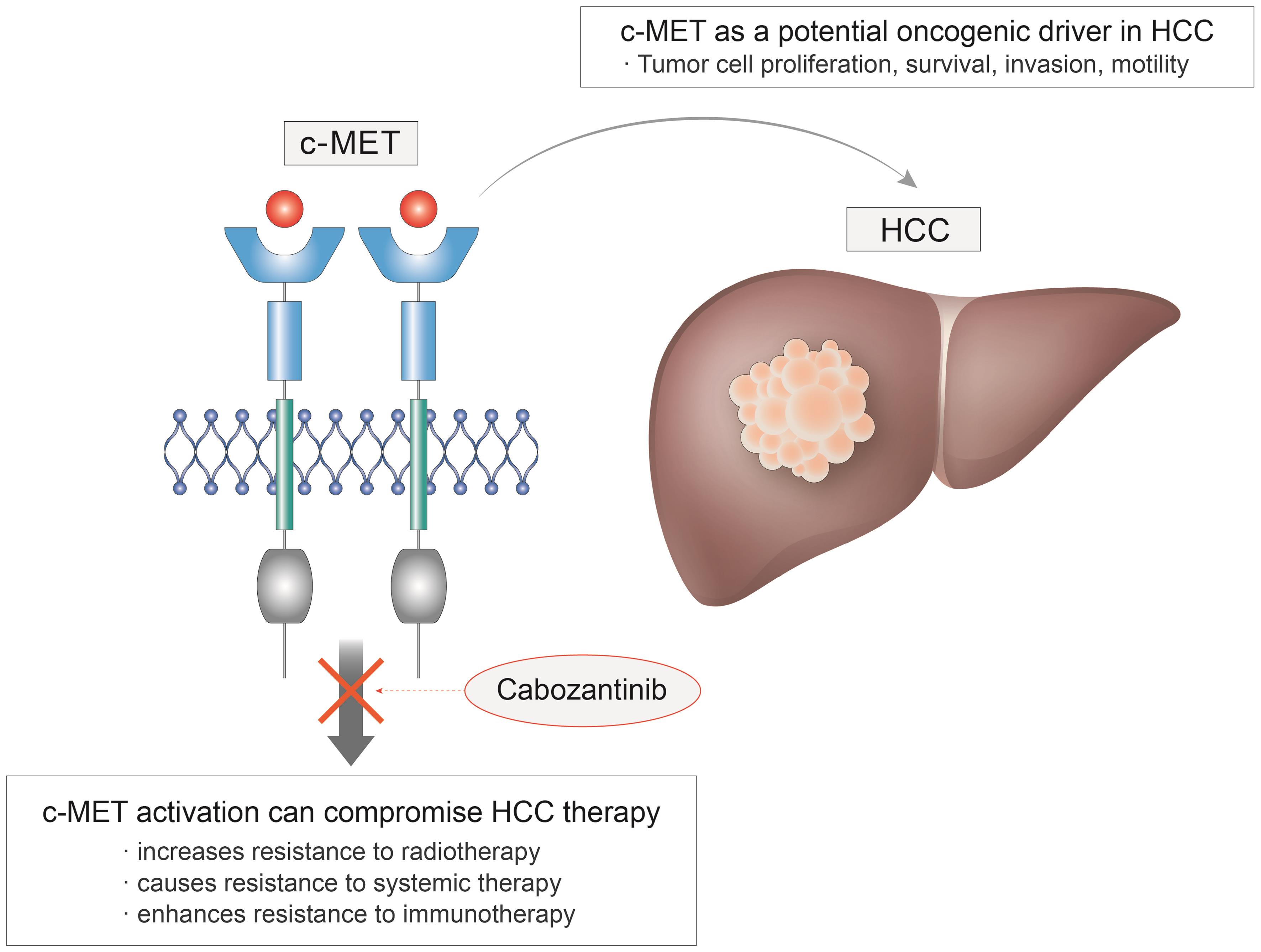Dramatic Response to Cabozantinib in a Patient with Refractory