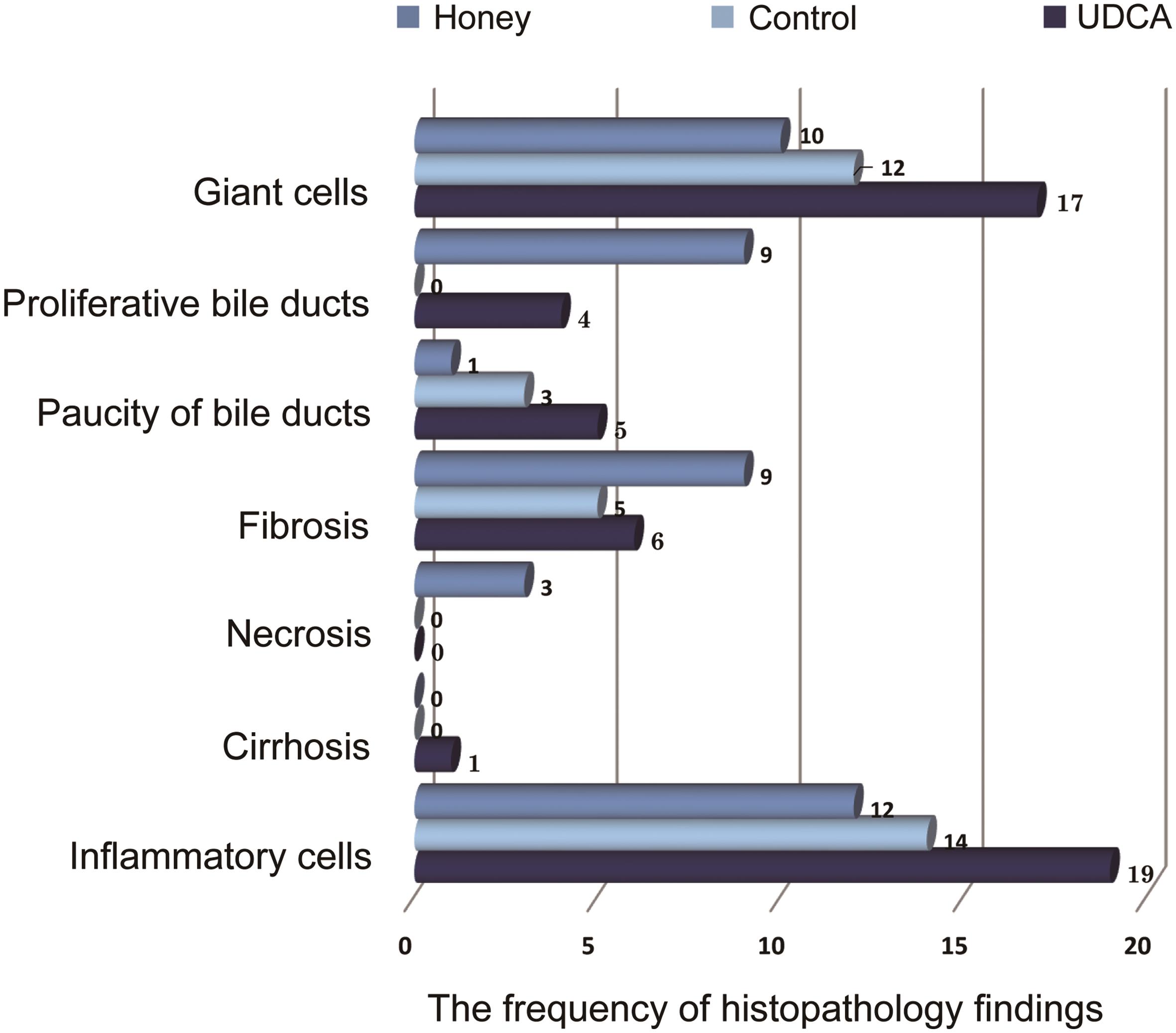 Liver biopsy findings among the studied groups.