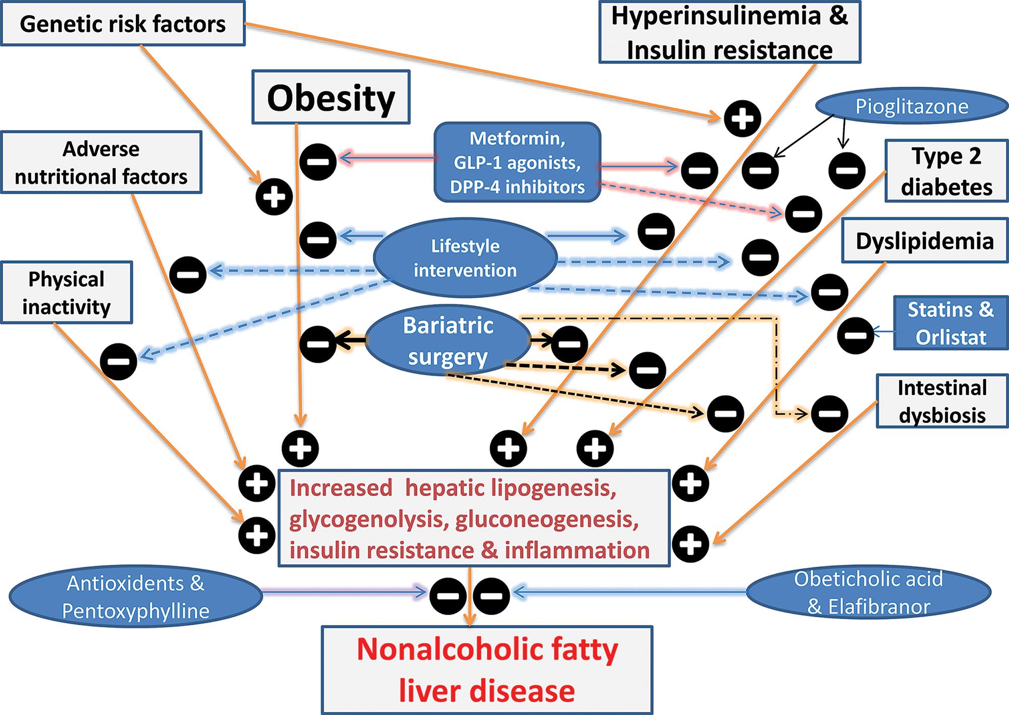 Non Alcoholic Fatty Liver Disease A Clinical Update