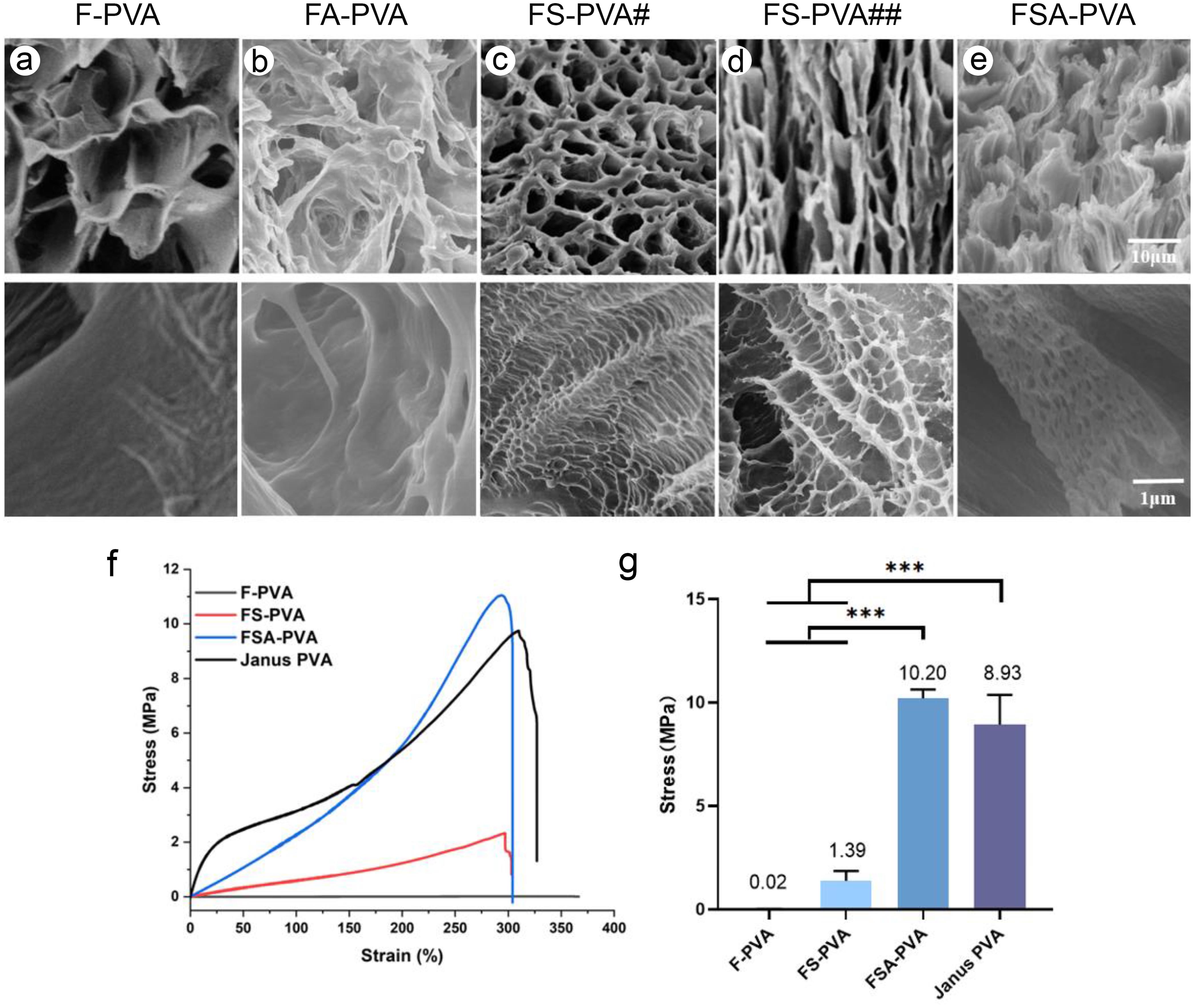 Cross-sectional SEM images and mechanical property measurements of the hydrogels.