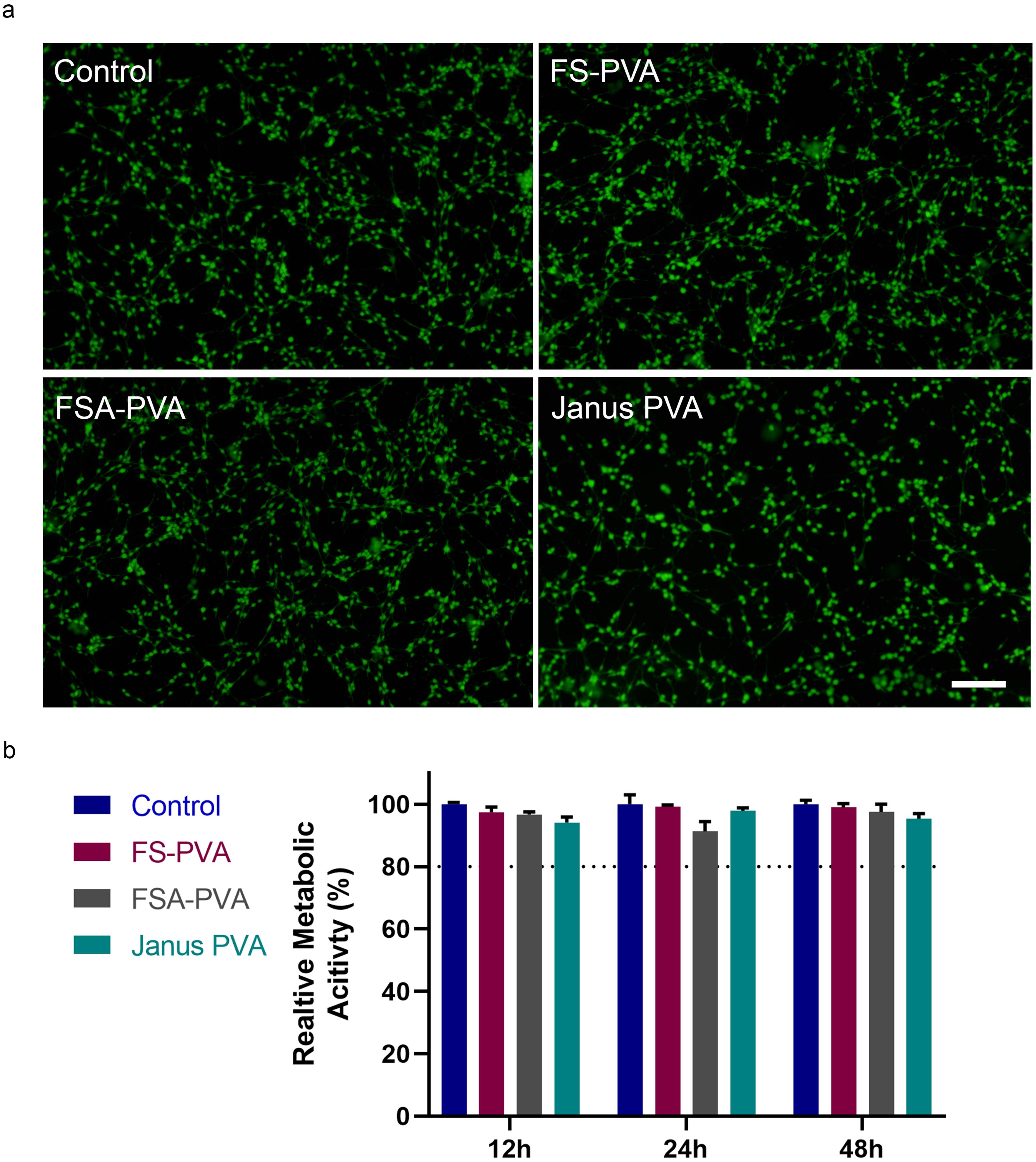 Results of co-culture of hydrogel extracts with NIH-3T3 cells.