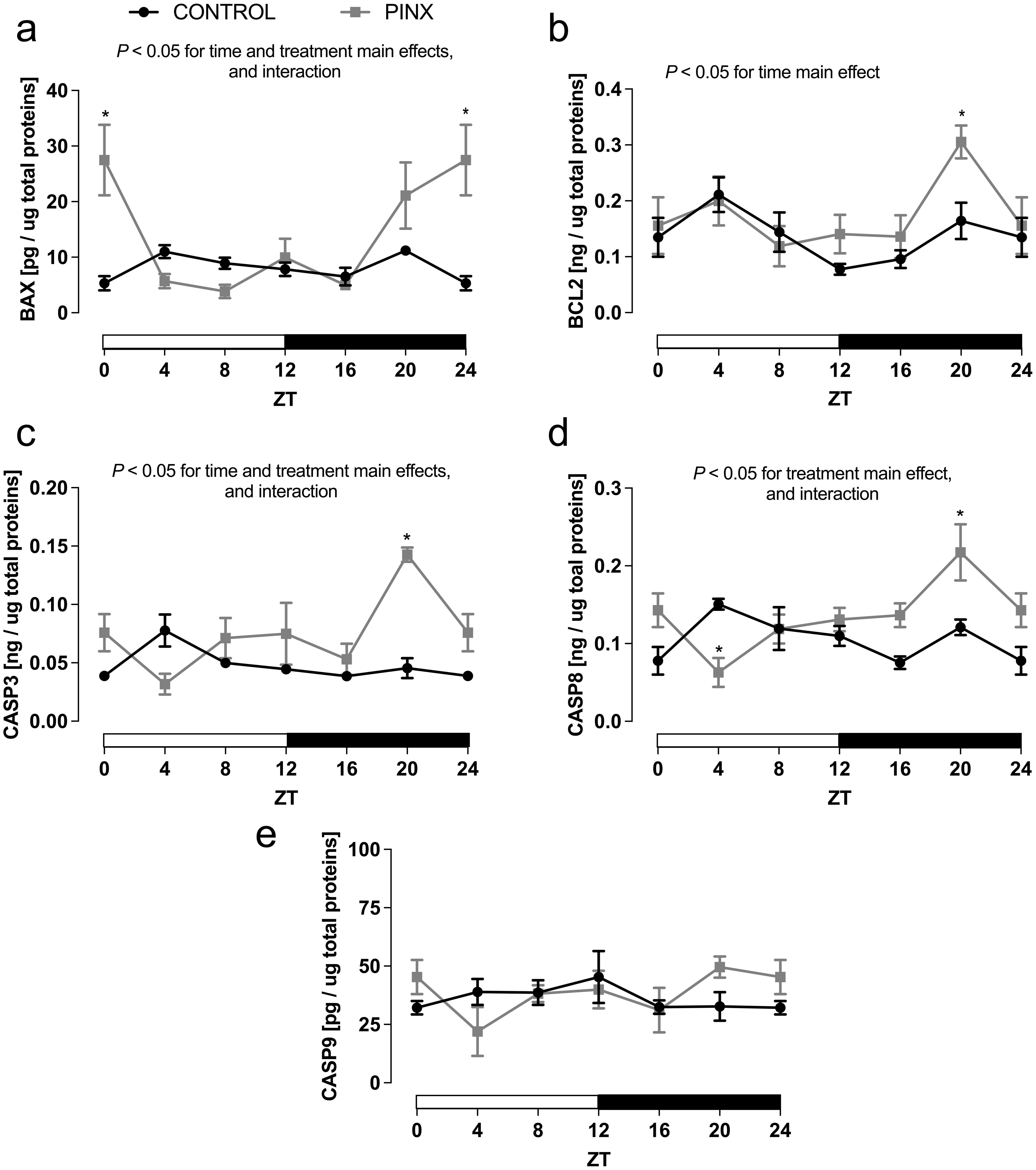 Effects of pinealectomy in apoptotic-related protein content in rat retroperitoneal adipose tissue (RP).