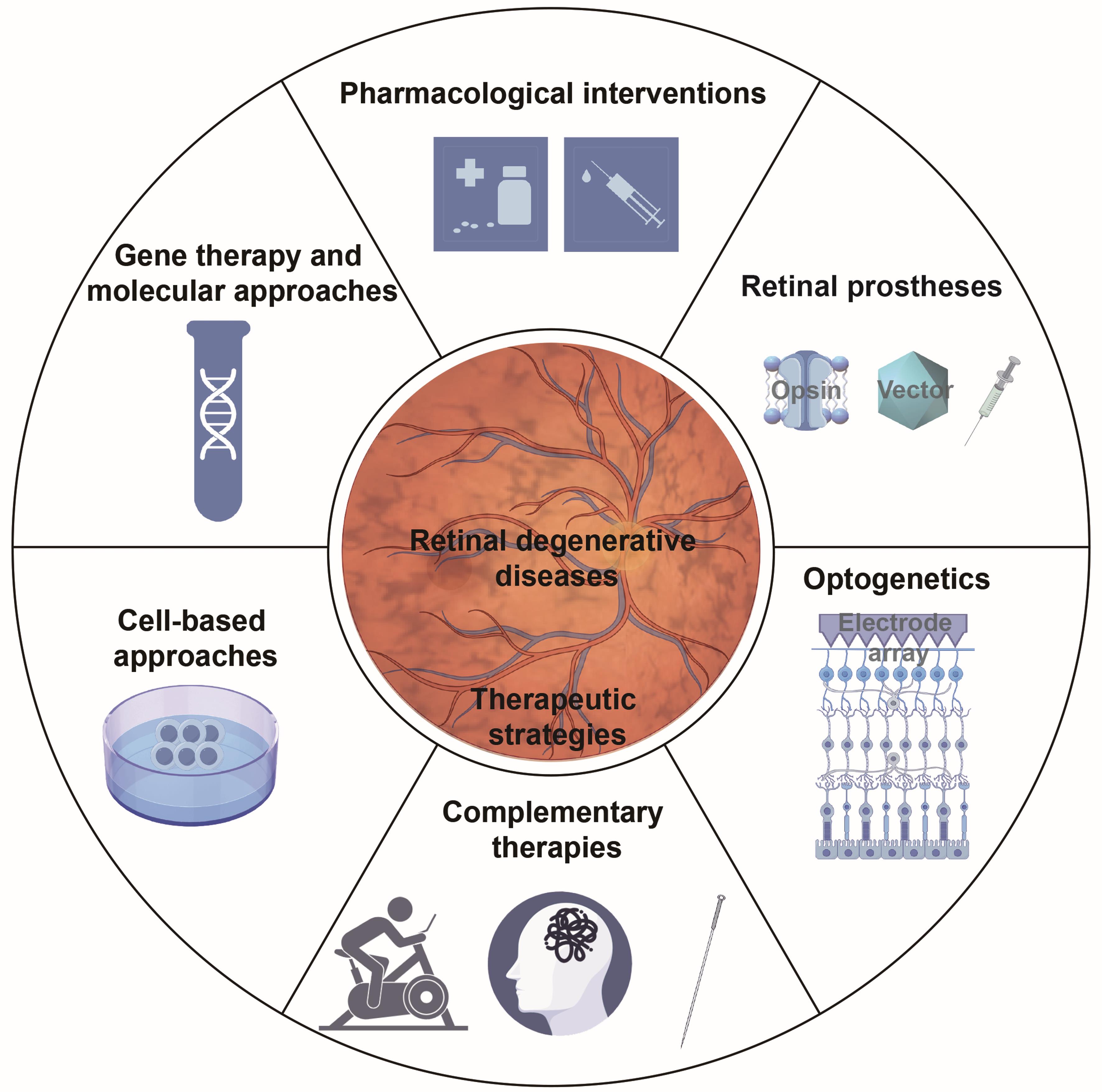 Schematic representation of therapeutic strategies for retinal degenerative diseases (RDDs). Schematic representation of therapeutic strategies for retinal degenerative diseases (RDDs).