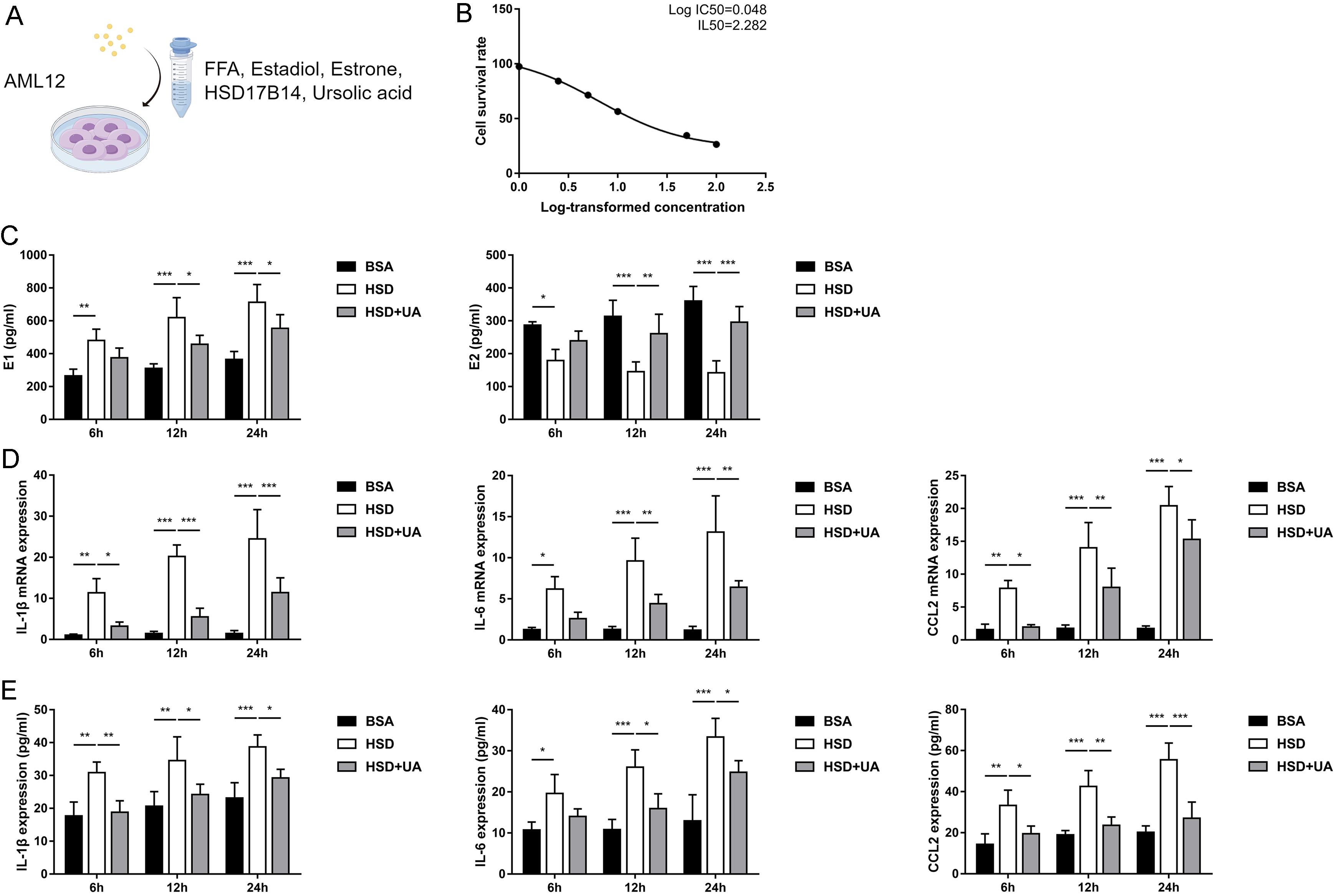 Therapeutic effects of ursolic acid on HSD17B14-mediated estrogen conversion in AML12 cells.