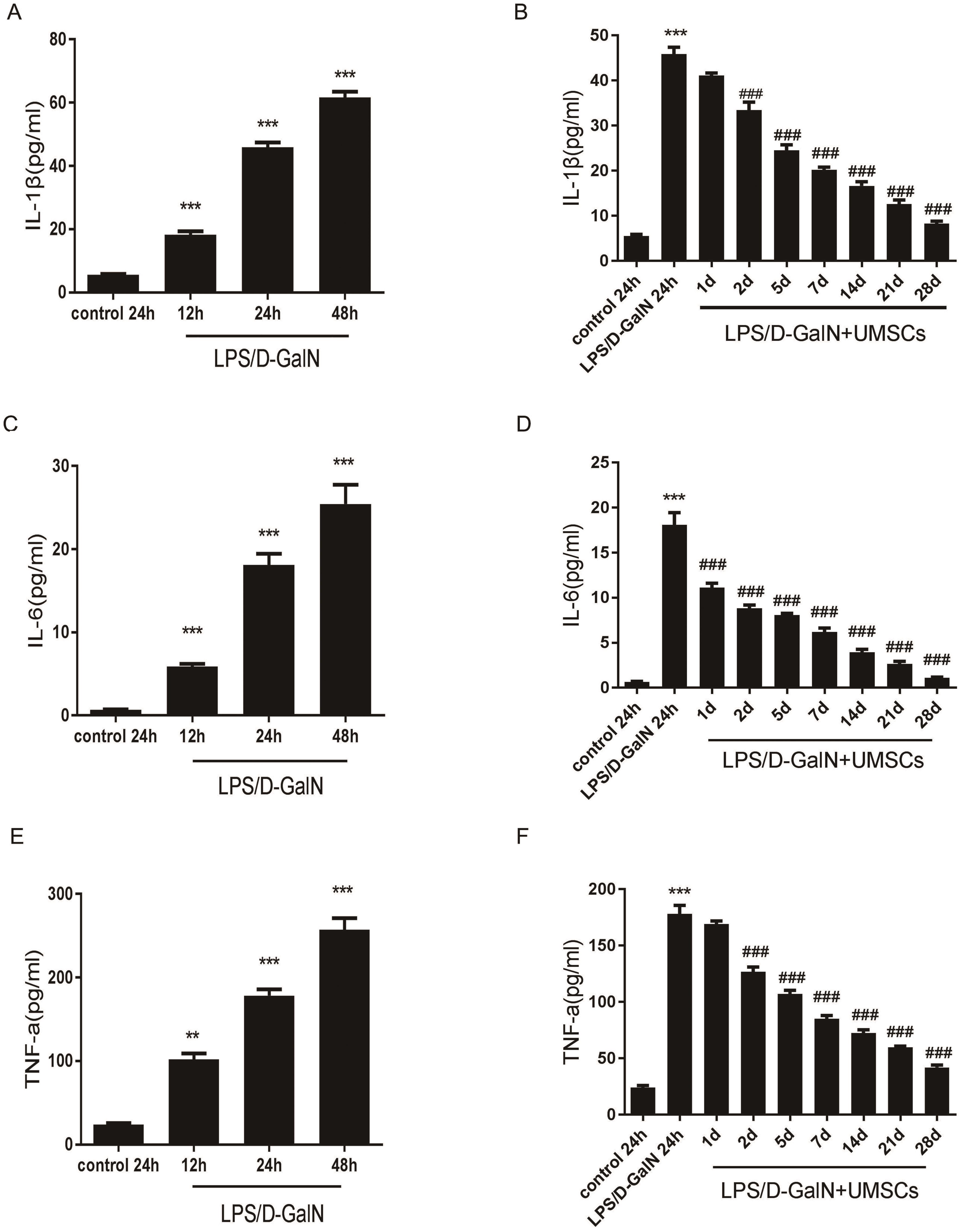 Effects of UMSCs on inflammatory mediators IL-1β (A–B), IL-6 (C–D), and TNF-α (E–F) in LPS/D-GalN-induced ALF.