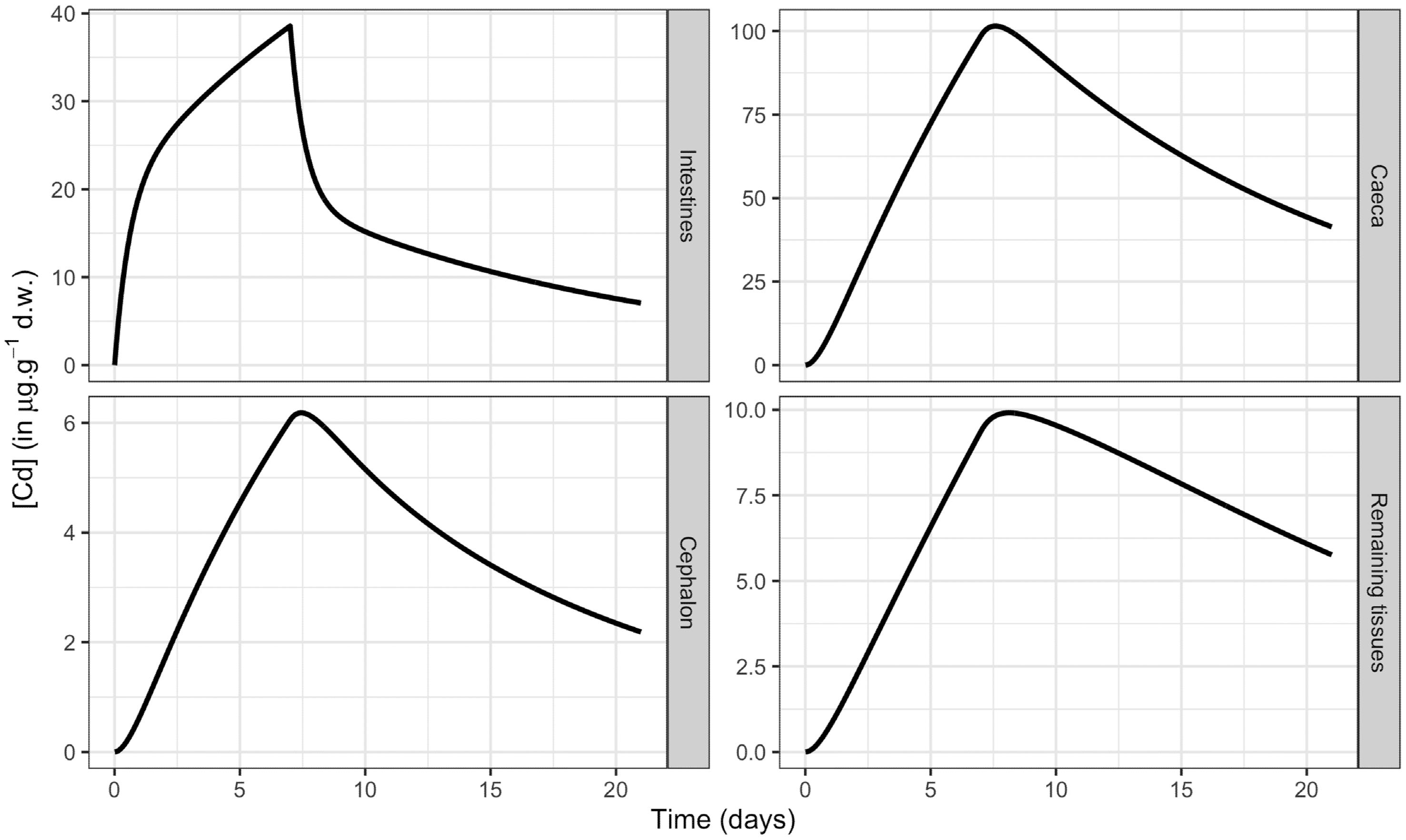 Simulations of the internal concentrations within the different organs or tissues of <italic>Gammarus fossarum</italic> when exposed to an external cadmium concentration equal to 11.1 <italic>μg</italic>·<italic>L</italic><sup>−1</sup>.