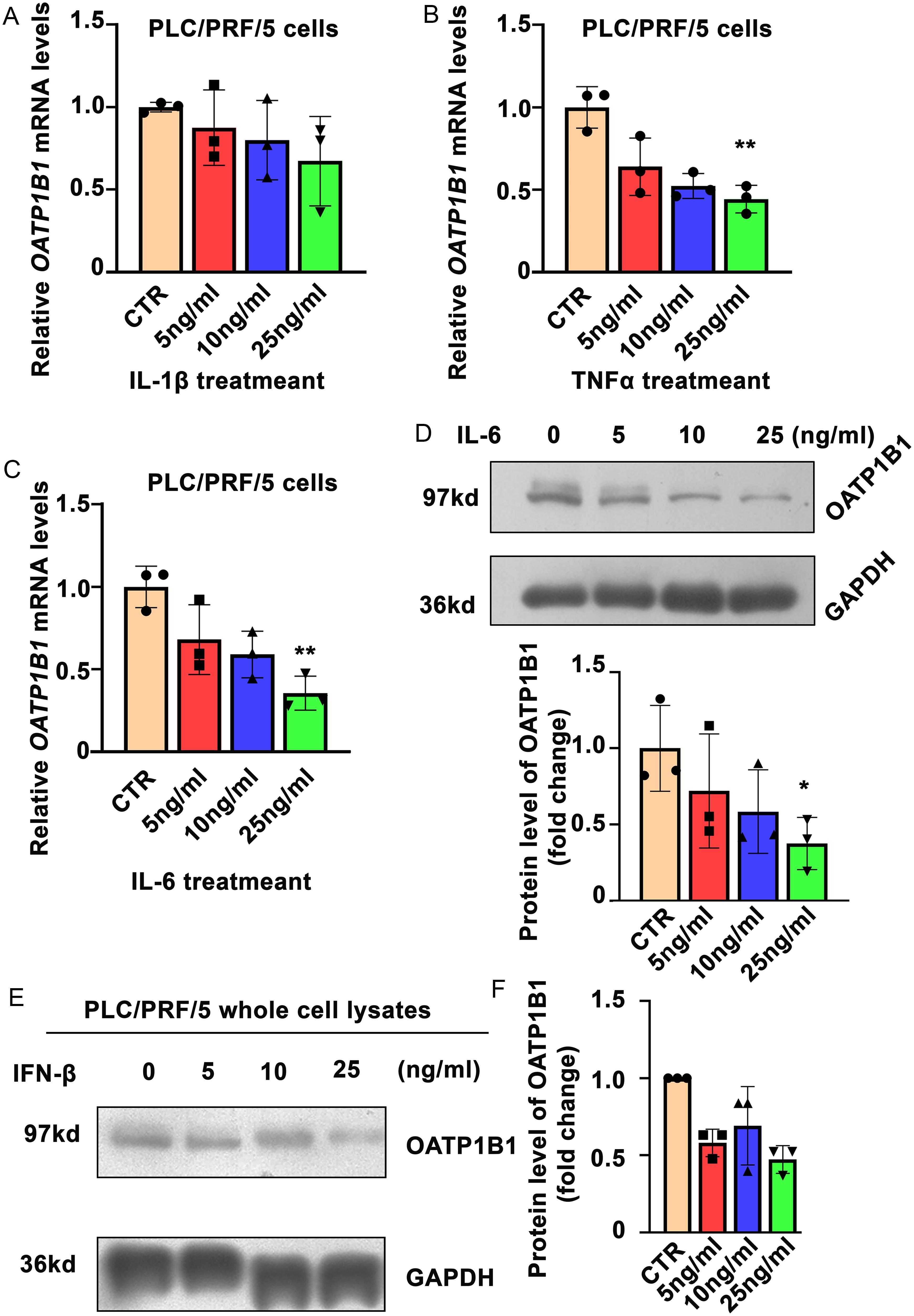 IL-6 induced the down-regulation of OATP1B1.