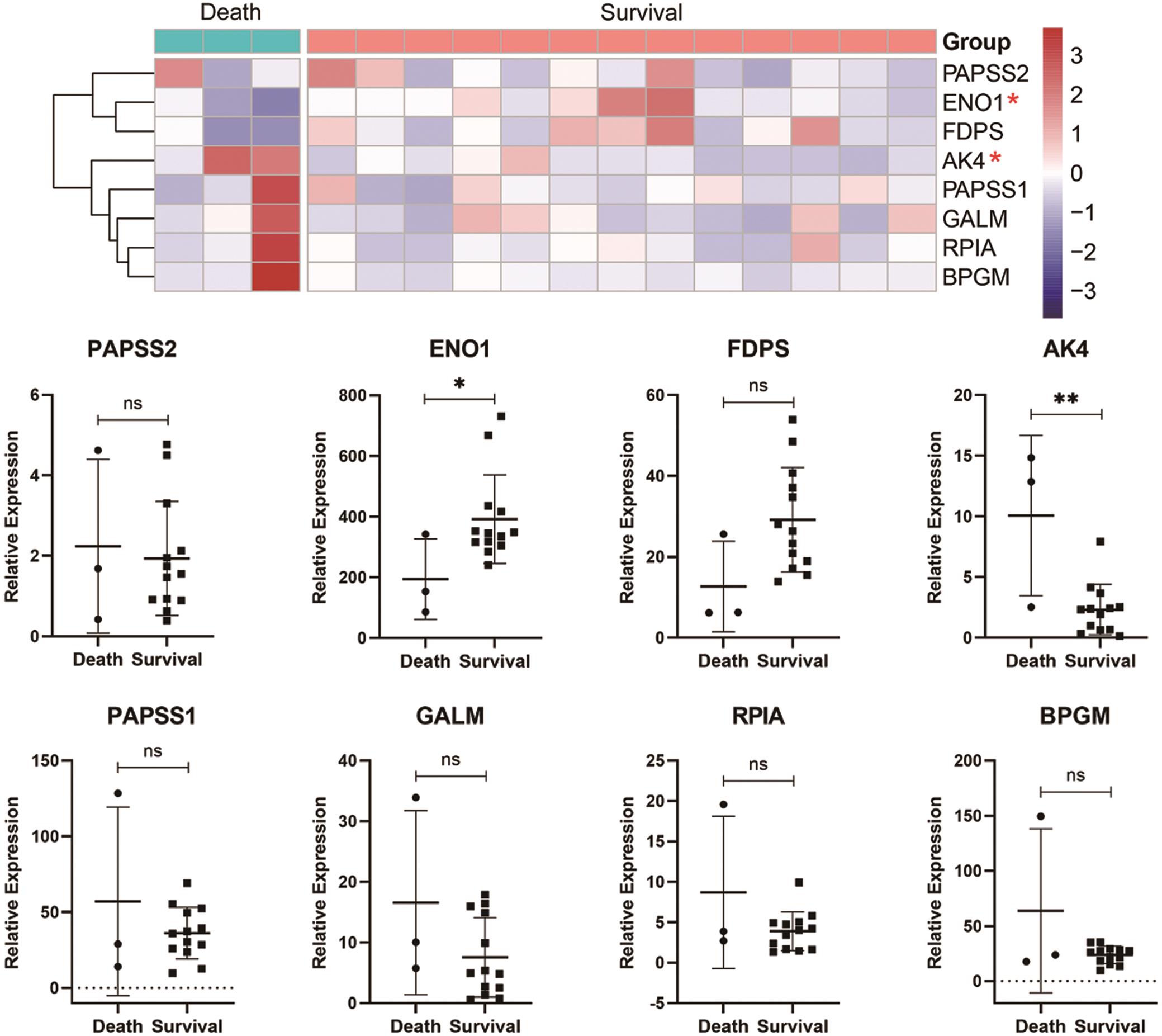 Expression heatmap between differential genomes in sepsis.