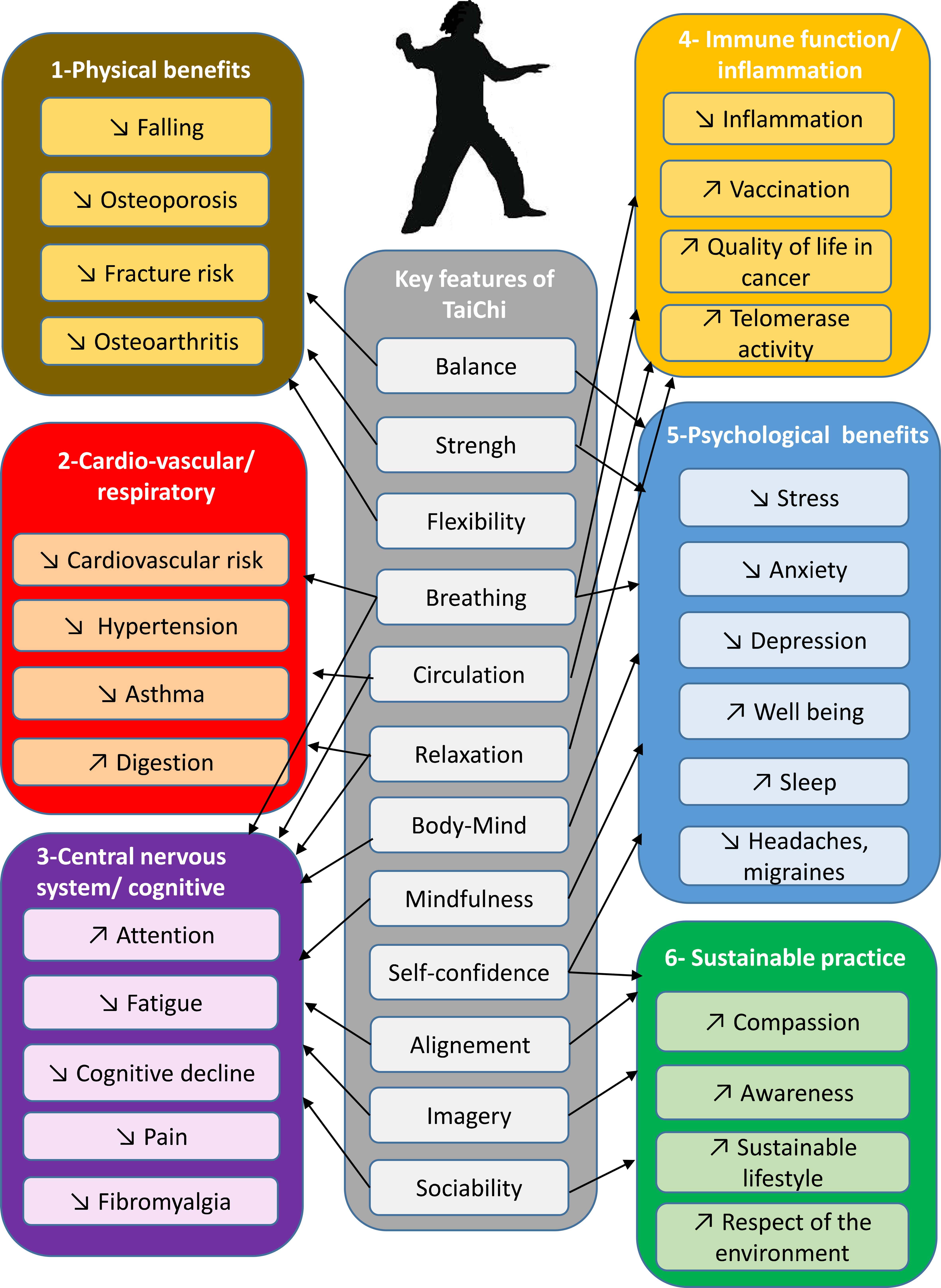 Key features of Tai Chi and its health benefits for humans and the environment.