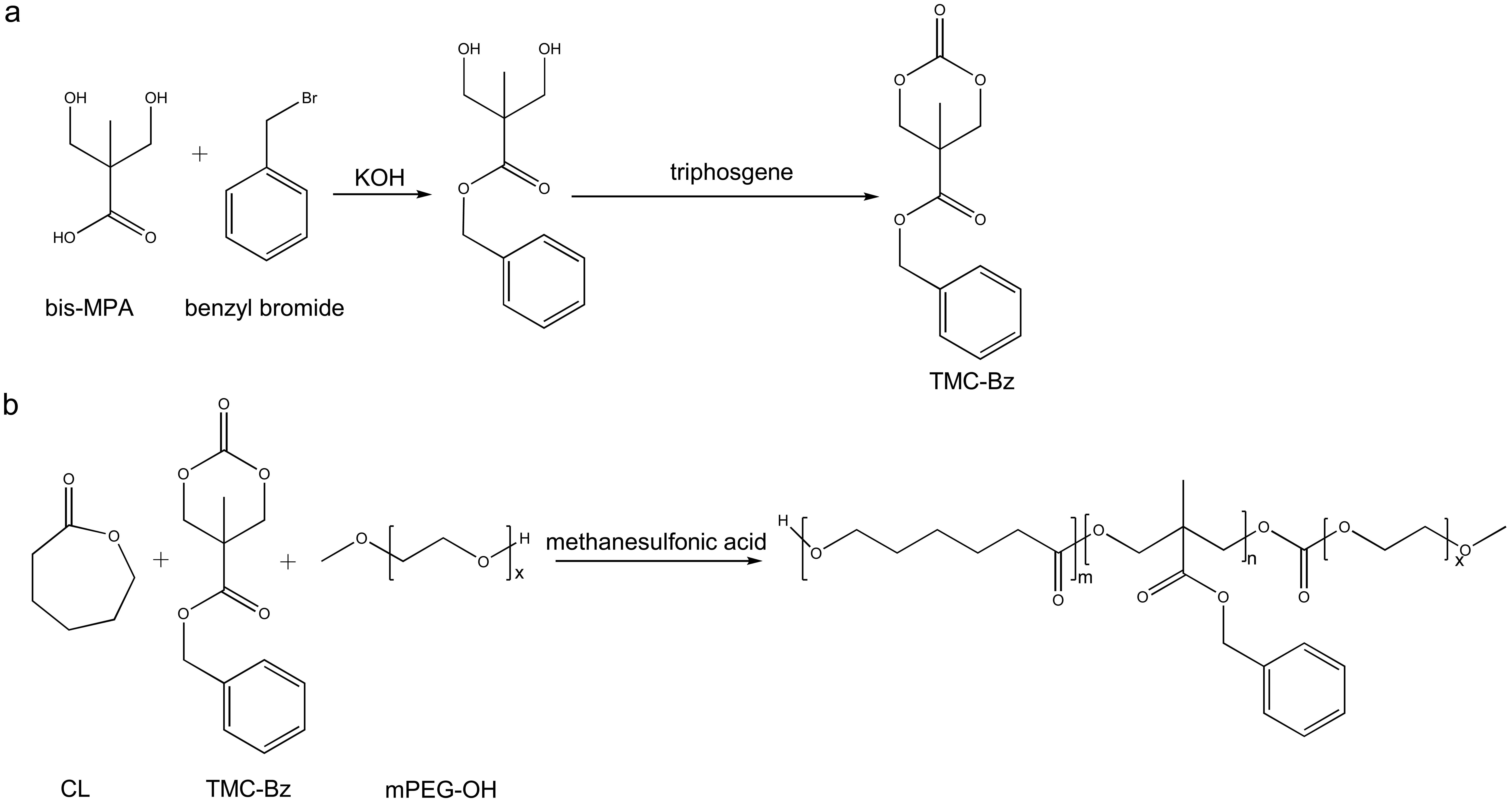 Synthesis of the TMC-Bz monomer (a) and P(CL-<italic>co</italic>-TMC-Bz)-PEG copolymer (b).