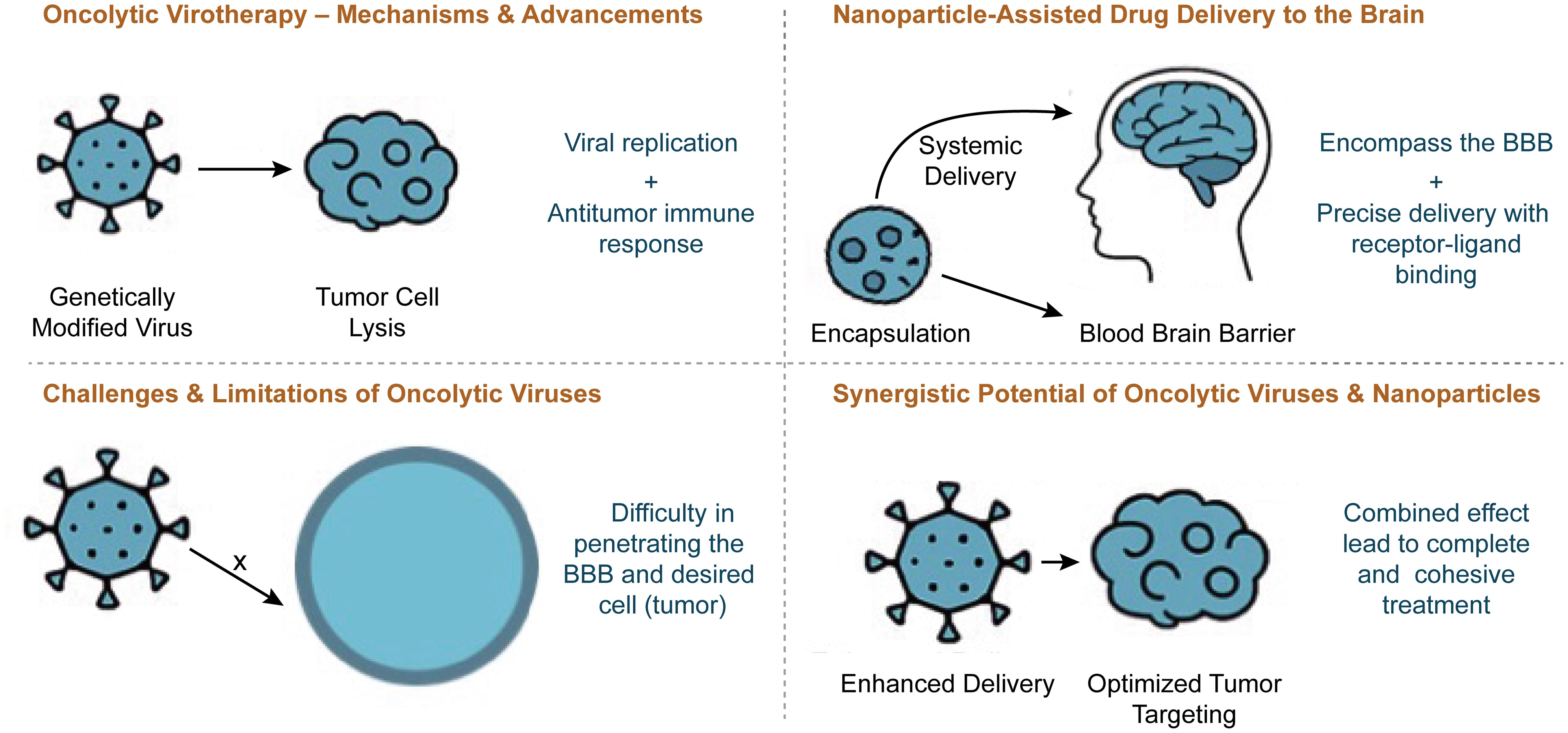 The integration of oncolytic virotherapy and nanoparticle-assisted drug delivery presents a groundbreaking approach to brain cancer treatment.