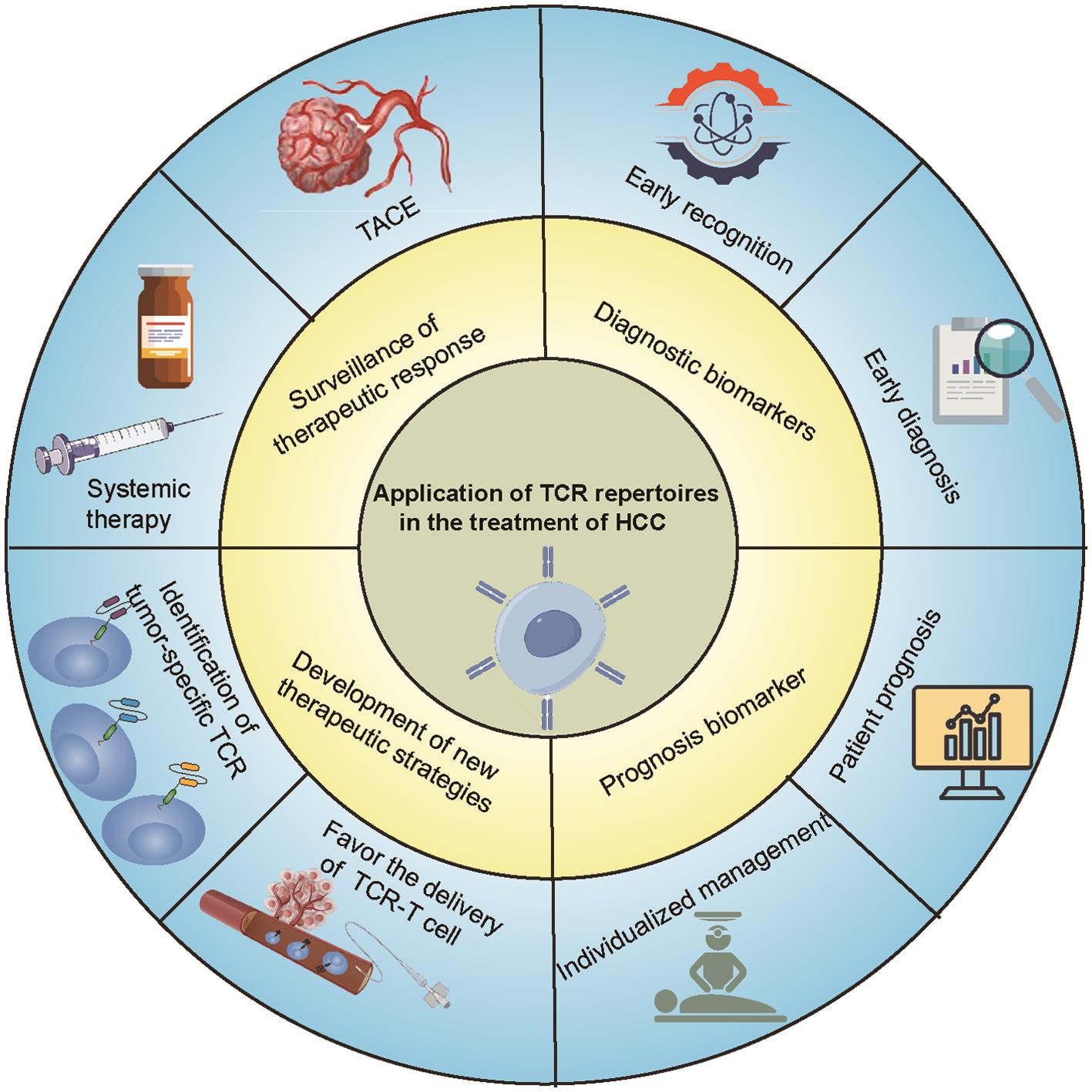 Application of TCR repertoires in the treatment of HCC.