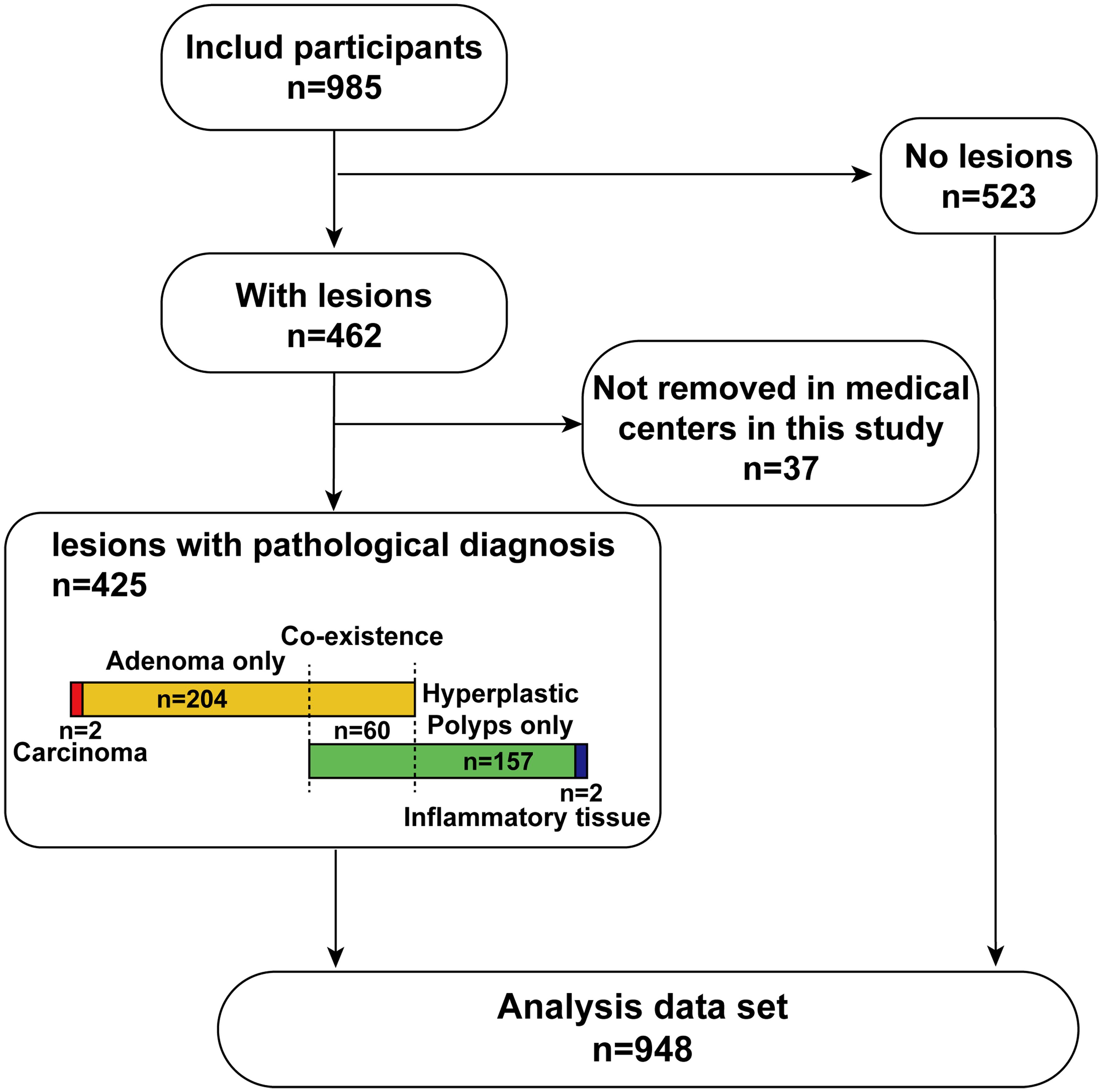 The participants included in this study.