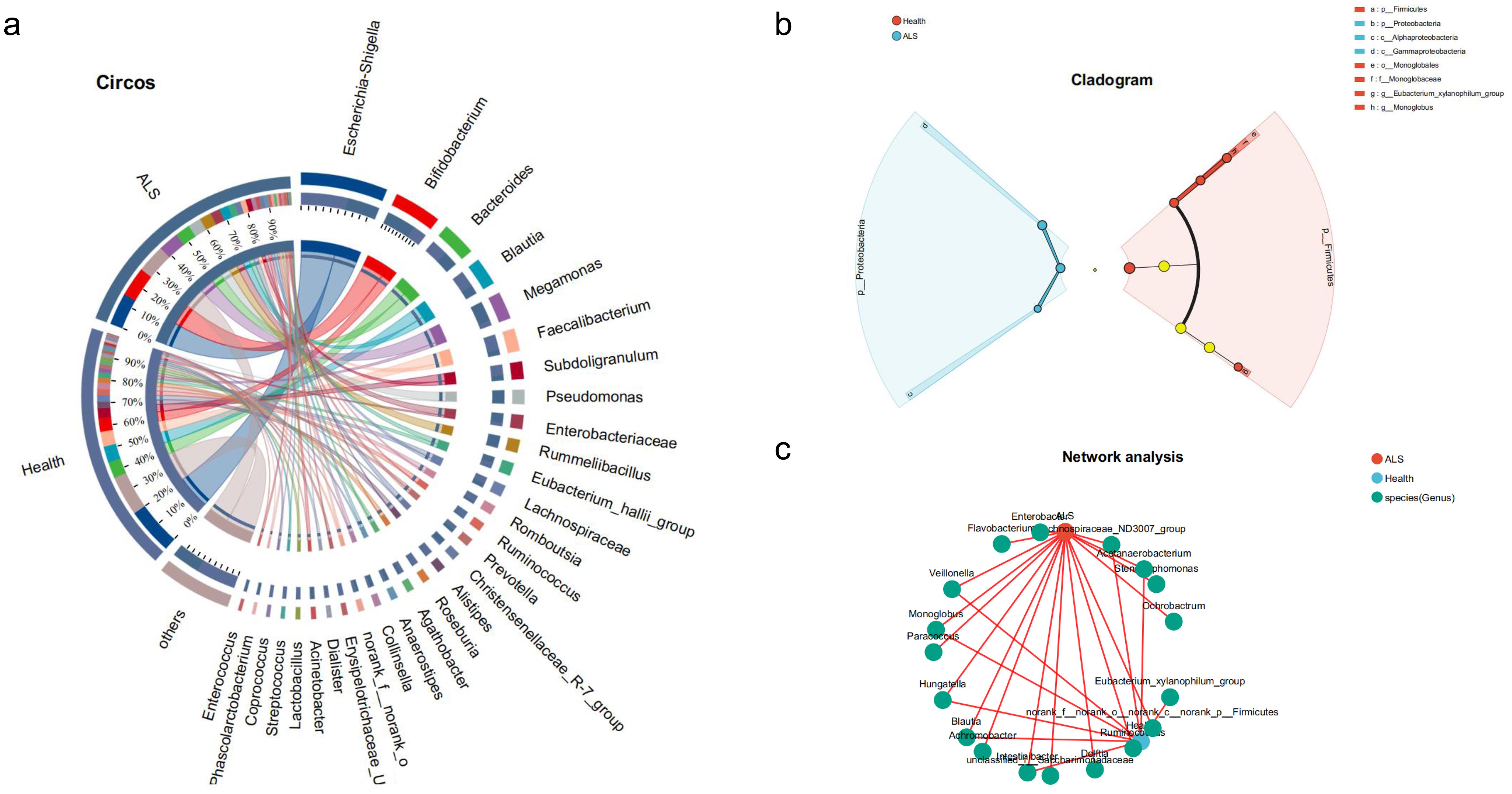 Differences in Circos sample-species diagrams between amyotrophic lateral sclerosis (ALS) patients and healthy controls.