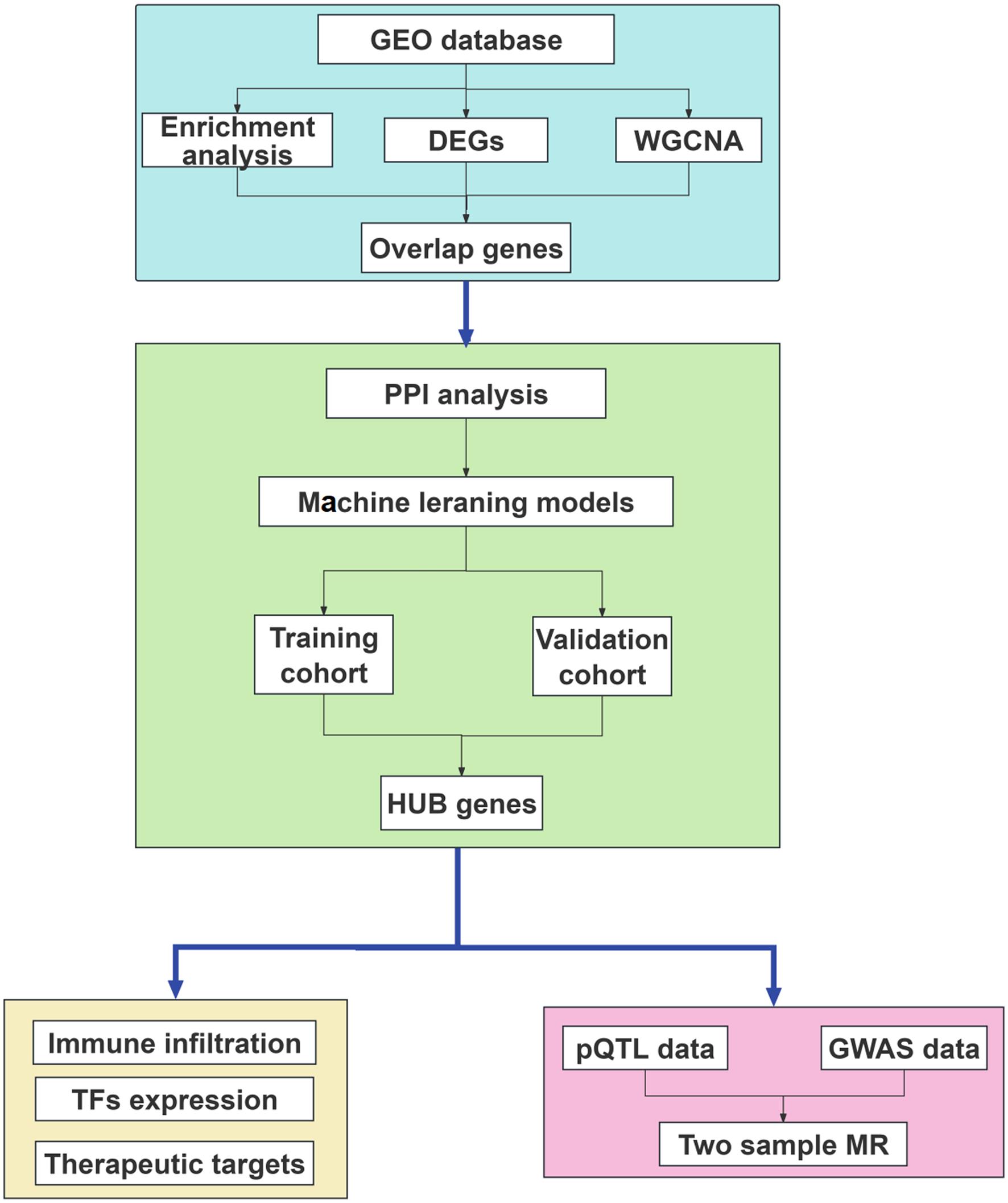 Flowchart of the study.