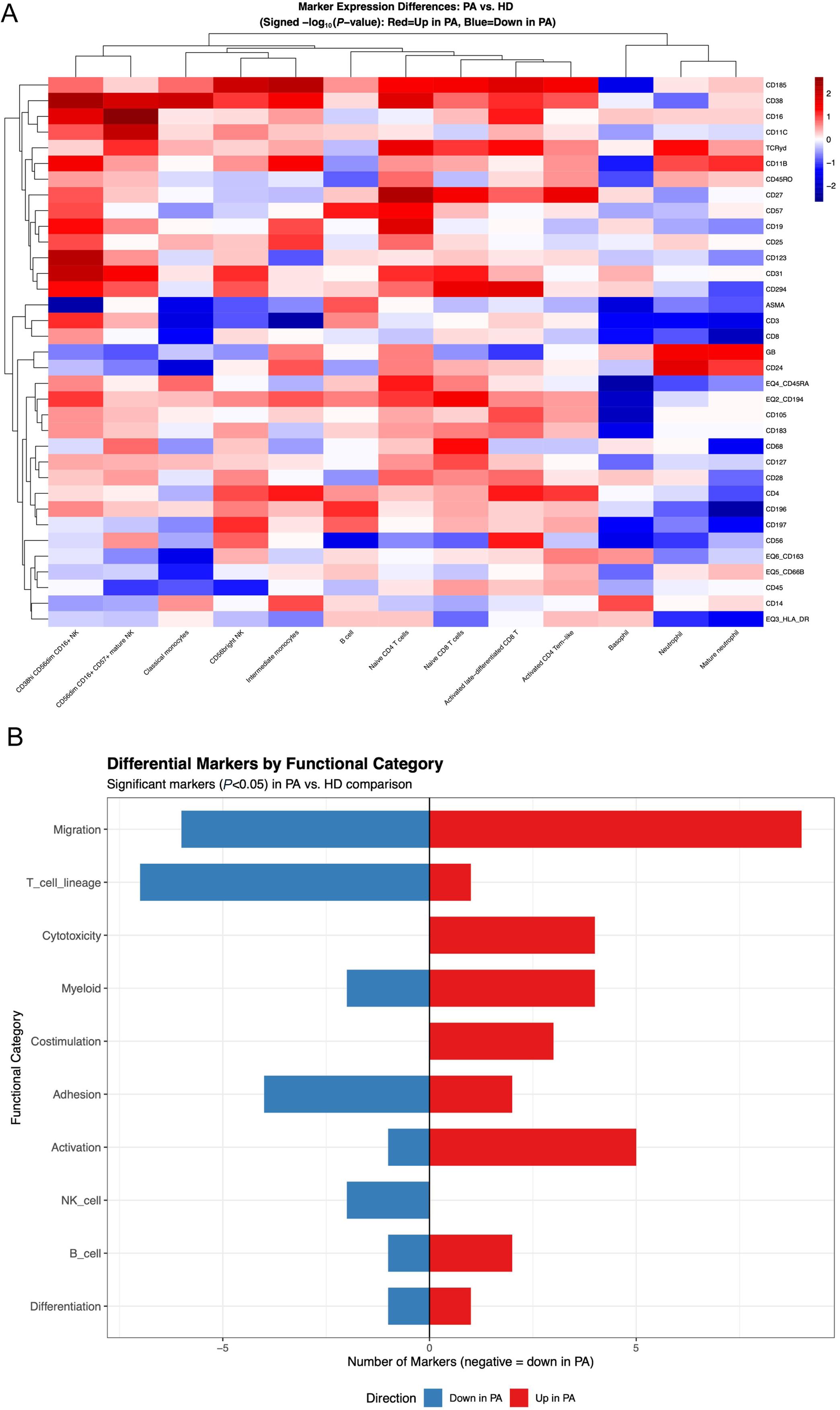 Overview of differential marker expression across immune cell clusters.