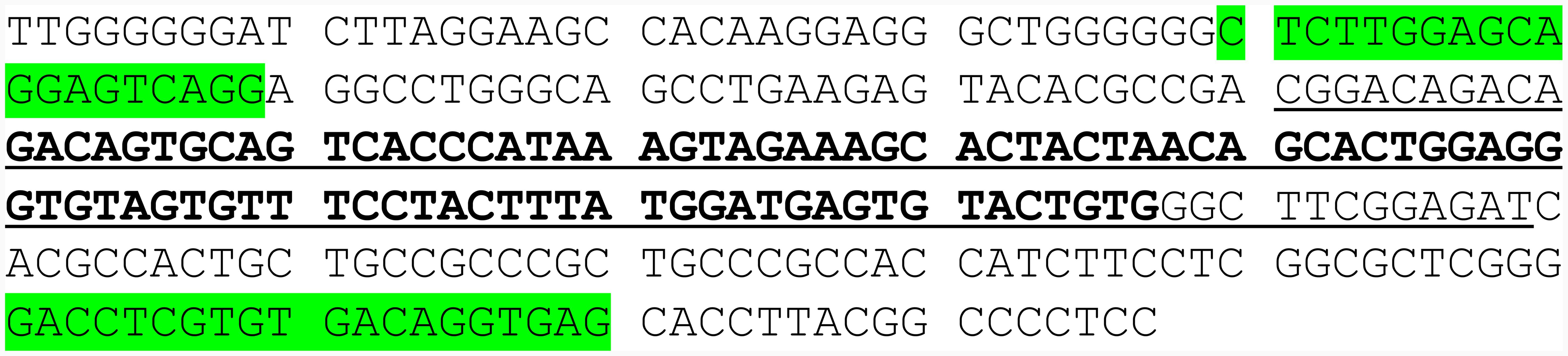 The sequence of the <italic>MIR142</italic> gene.