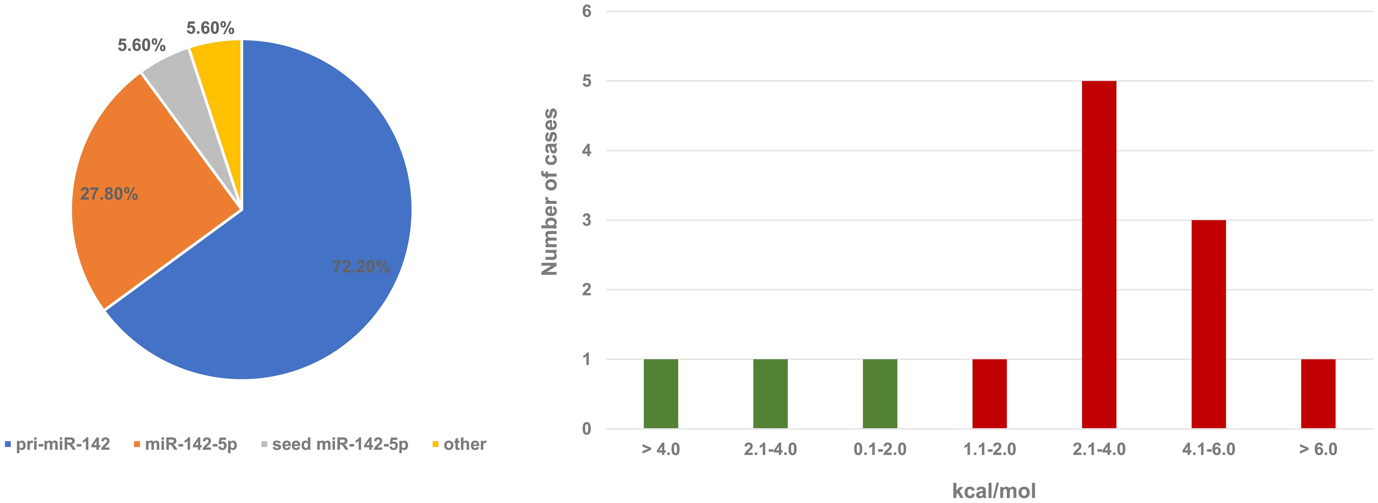 Number of SNVs identified in various regions of the <italic>MIR142</italic> gene transcript (a) and distribution of absolute changes in hairpin minimum free energy (ΔMFE, kcal/mol): green columns indicate decreased MFE values, i.e., more negative MFE and increased thermodynamic stability; red columns indicate increased MFE values, i.e., less negative MFE and reduced thermodynamic stability (b).